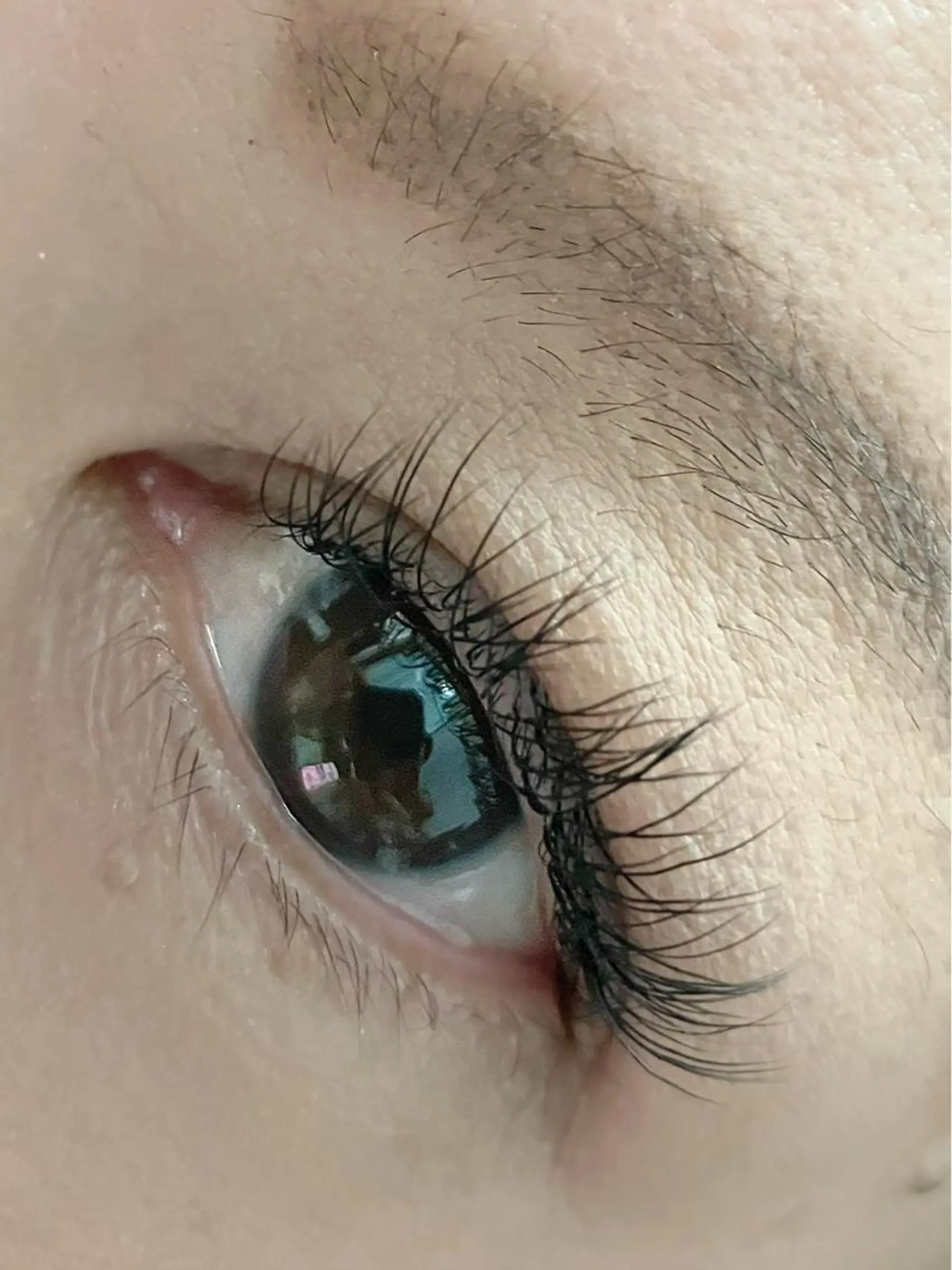 マツエク・マツパ Cカール フラットラッシュ Duo＋eyelash所属・Duo＋ eyelashのマツエク・マツパデザイン