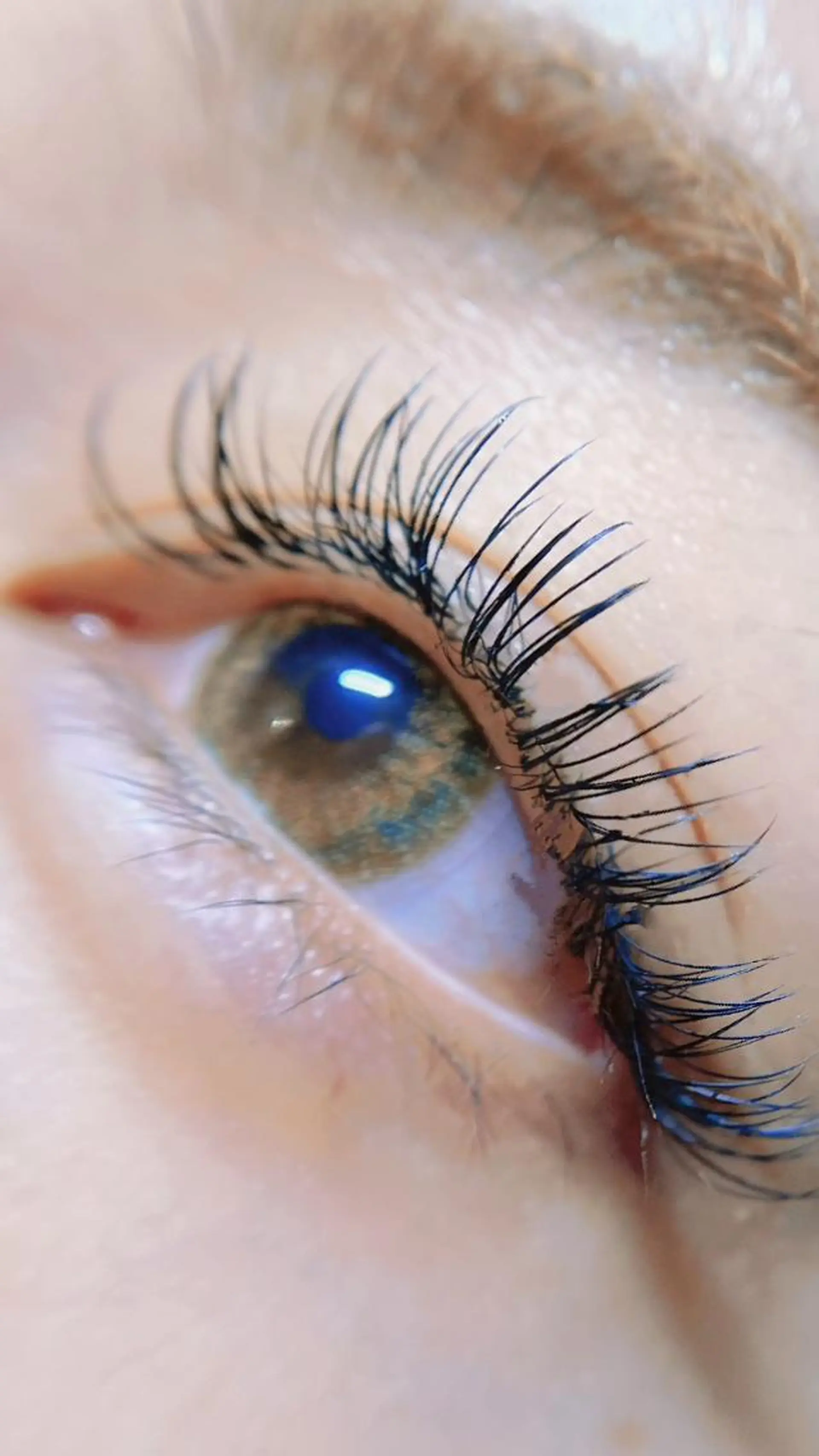 マツエク・マツパ ルアナプラス ひばりのマツエク・マツパデザイン