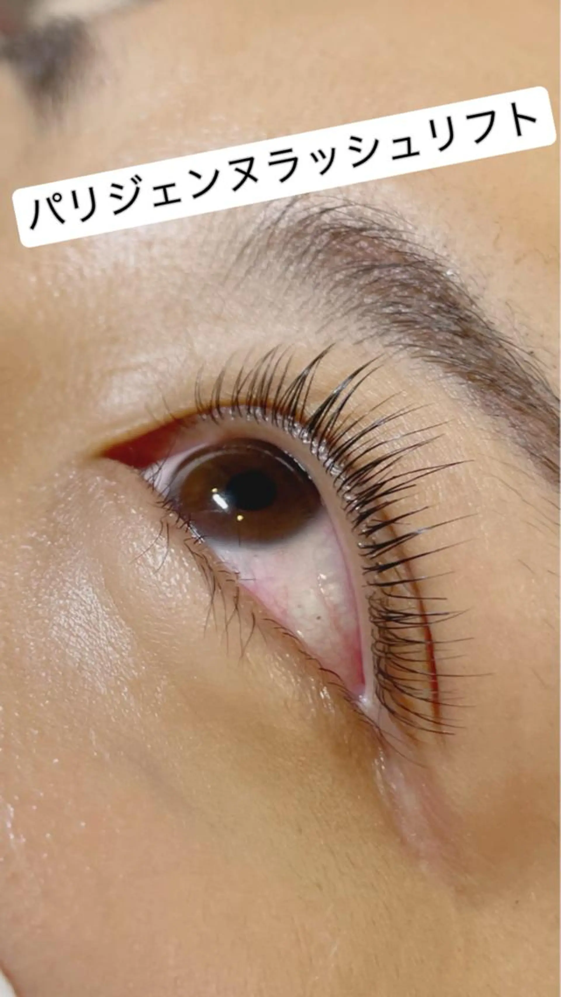 マツエク・マツパ パリジェンヌラッシュリフト アイリスト araiのマツエク・マツパデザイン