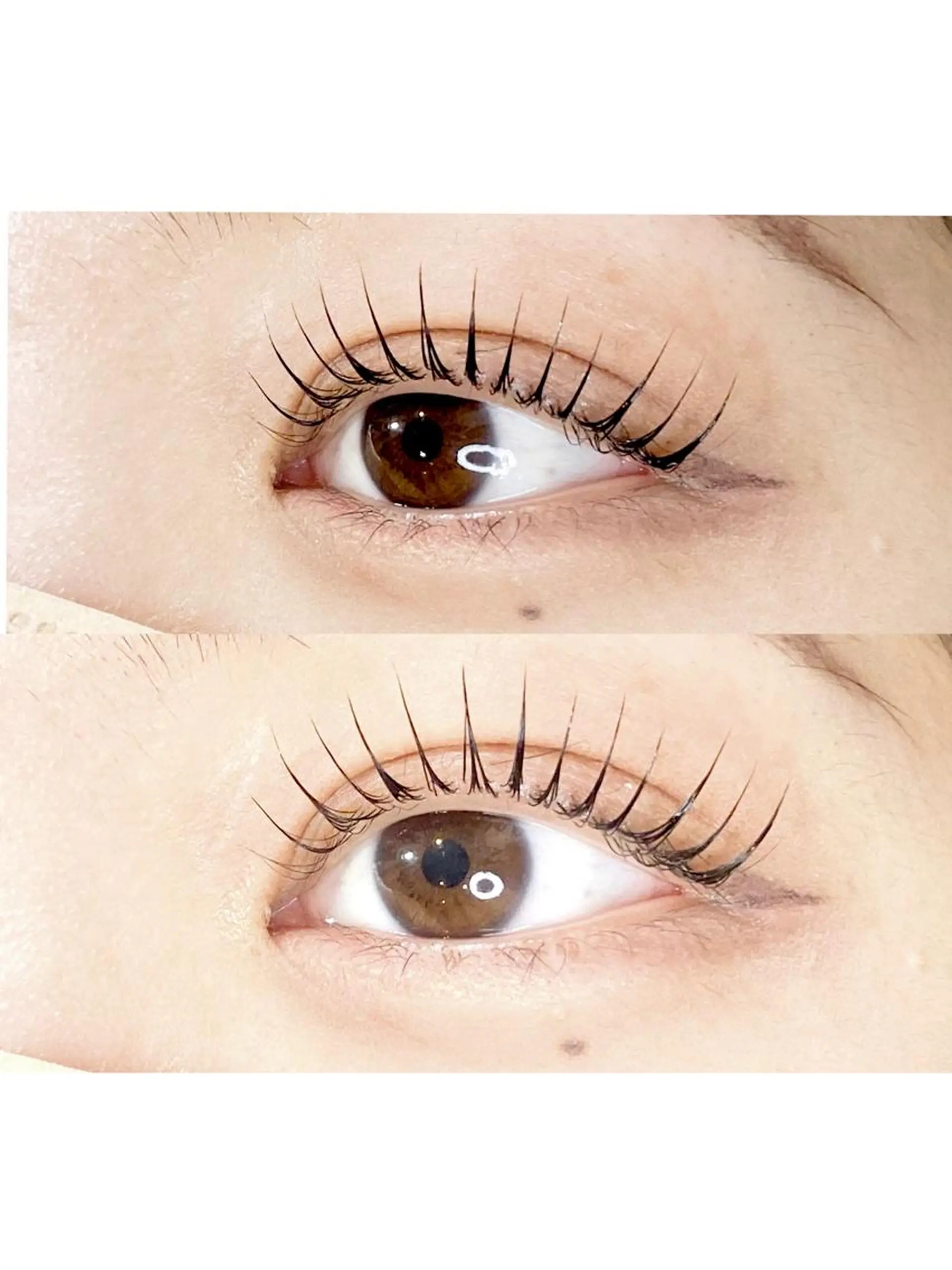 マツエク・マツパ マツパ Chisato🤍池 袋/マツパ/マツエクのマツエク・マツパデザイン