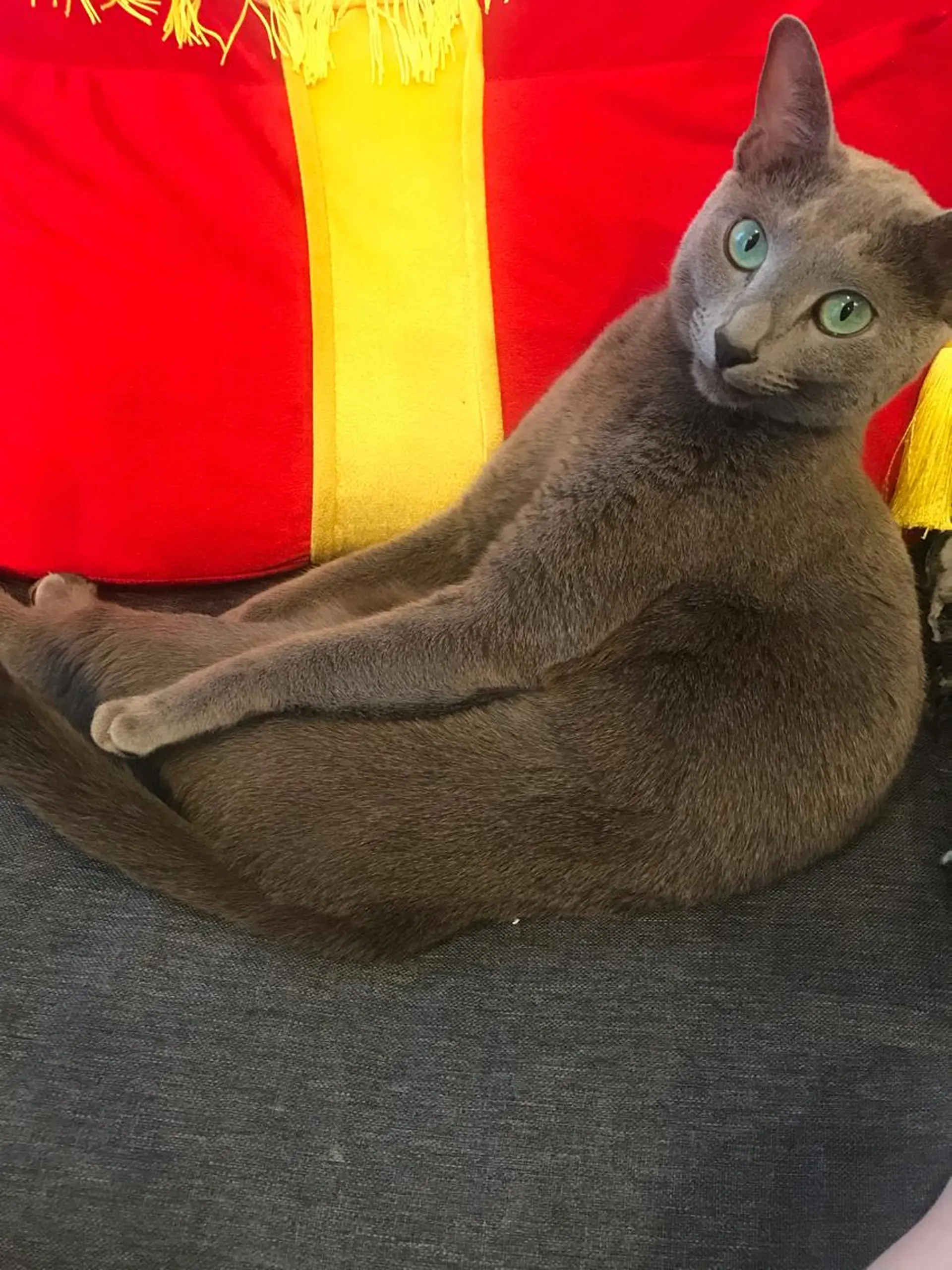 ショート カラー パーマ ヘアアレンジ メンズ キッズ ネイル マツエク・マツパ アニメ,Vオタク× 即効痩せエステサロンのエステ・リラクイメージ