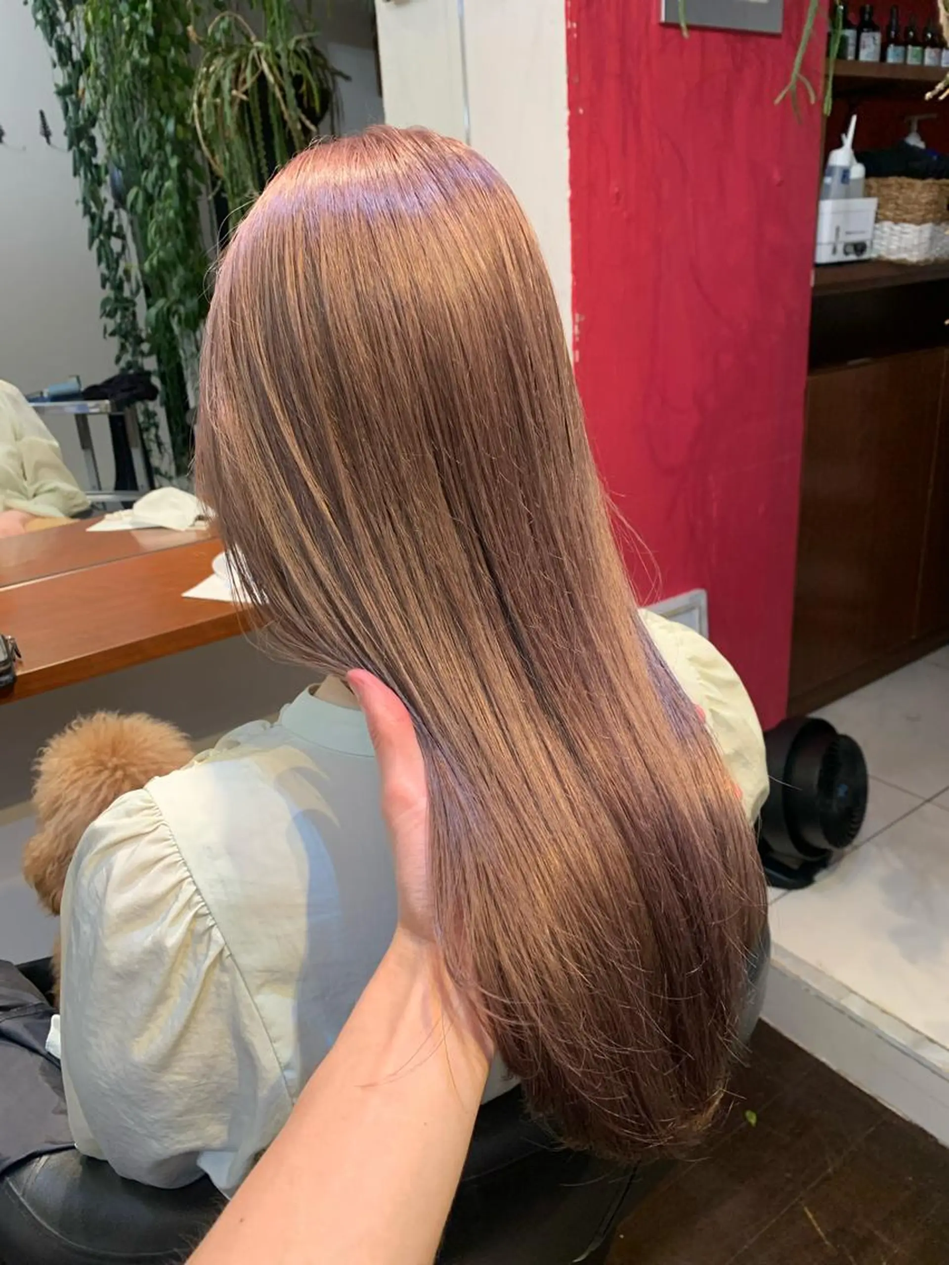 セミロング カラー ブリーチ ケアブリーチ ピンクカラー シルバー カット ヘアカラー トリートメント 柔らかブラウン/顔周 りレイヤー♡ユウシのヘアスタイル