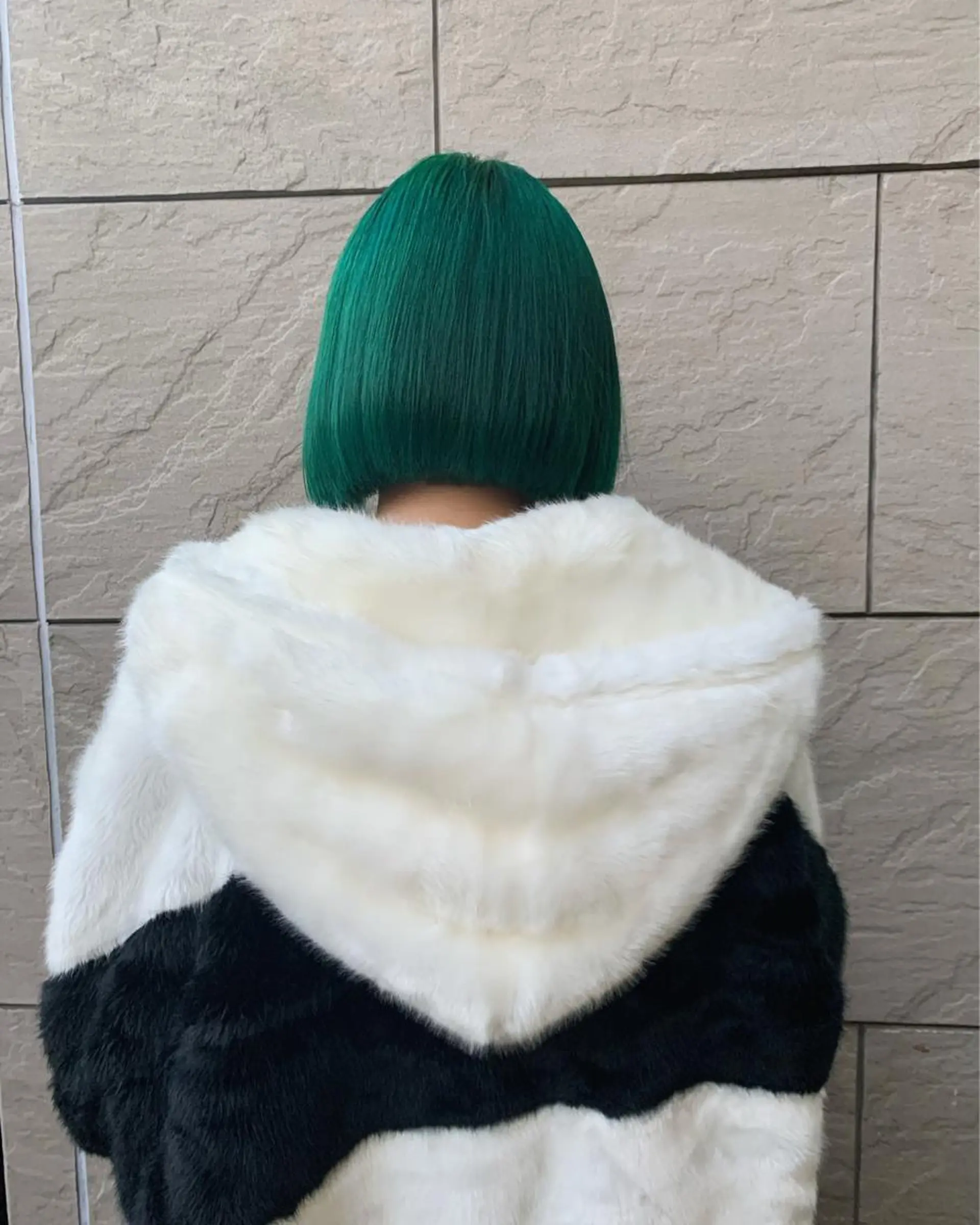 ショート カラー 似合わせウルフ/ レイヤー/山本祐輔のヘアスタイル