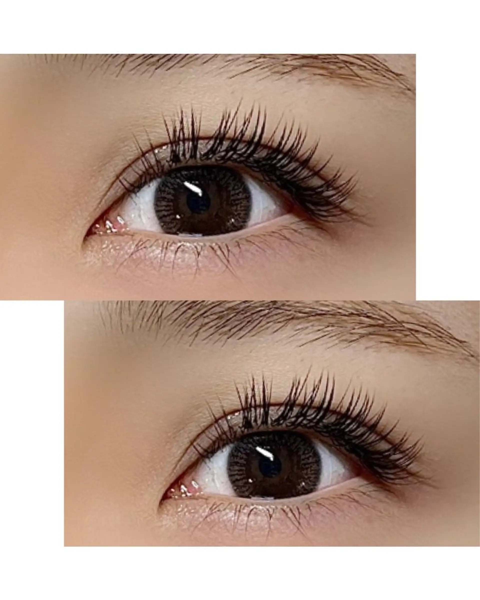 マツエク・マツパ 𝐄𝐦𝐮 .のマツエク・マツパデザイン