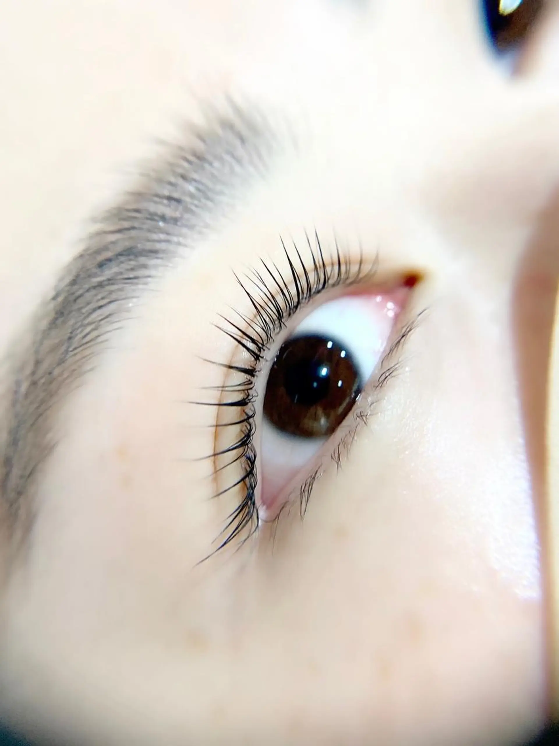 マツエク・マツパ 小野寺 おのでらのマツエク・マツパデザイン