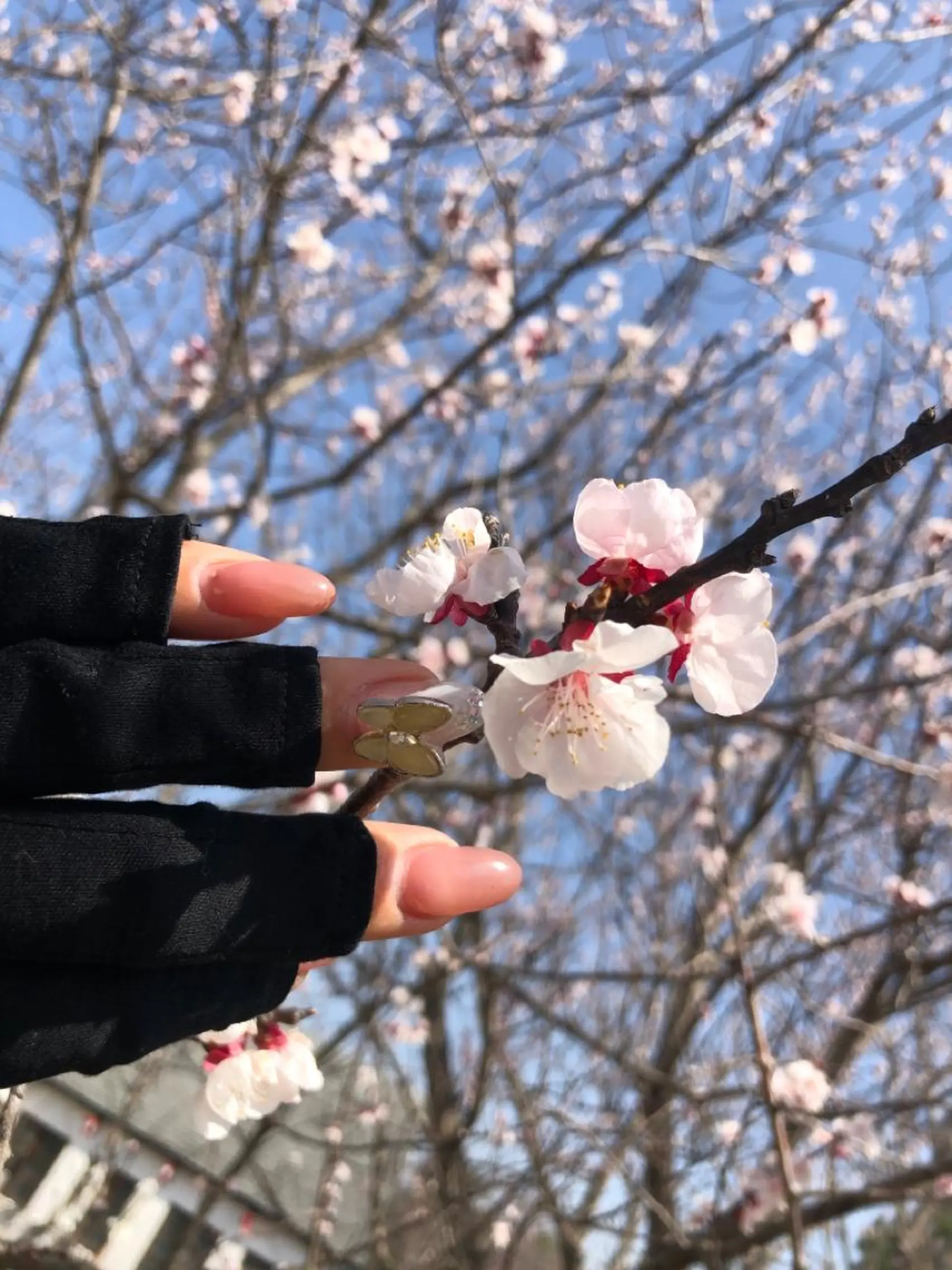 ネイル nanamin nail所属・眉サロン KE. 船橋日大前駅徒歩1分のその他イメージ