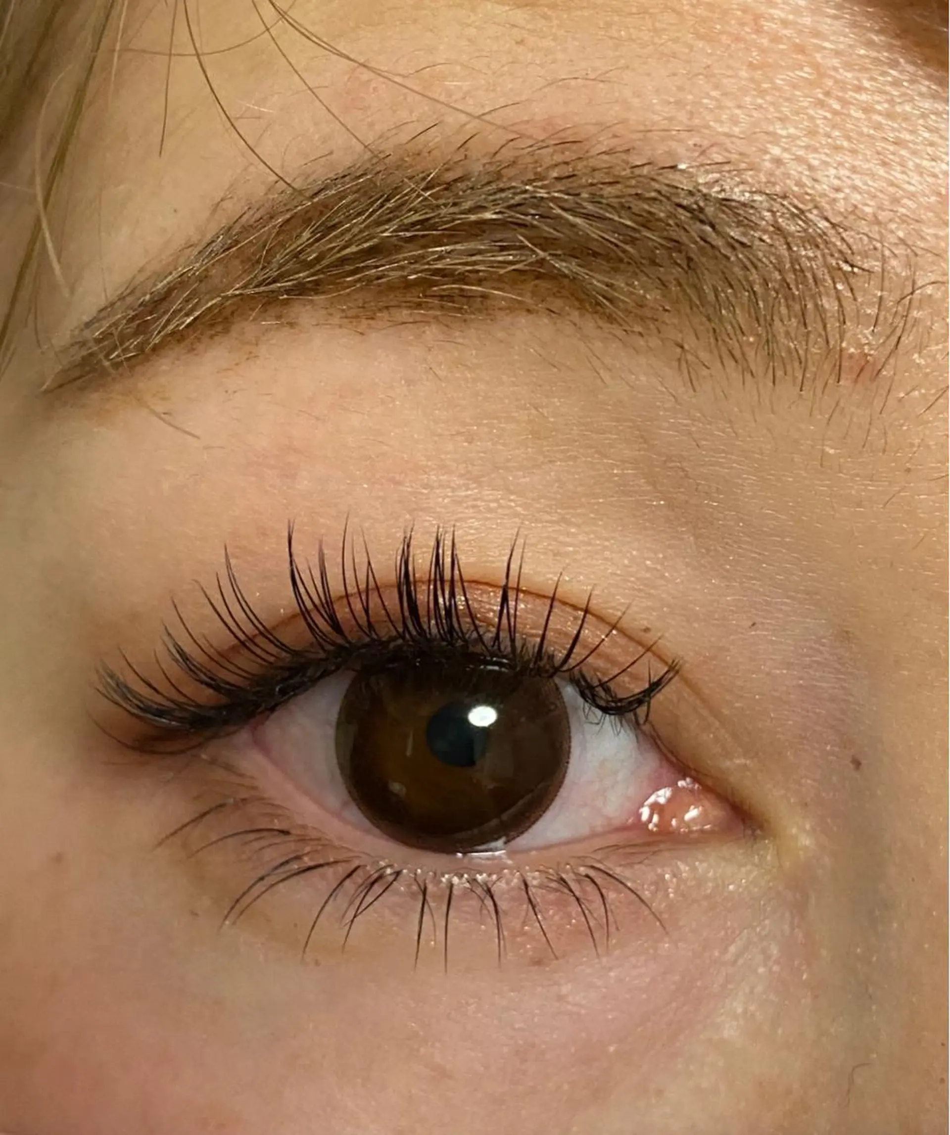 マツエク・マツパ Cカール キュート Jカール 下まつげエクステ Le’ala 八木のマツエク・マツパデザイン