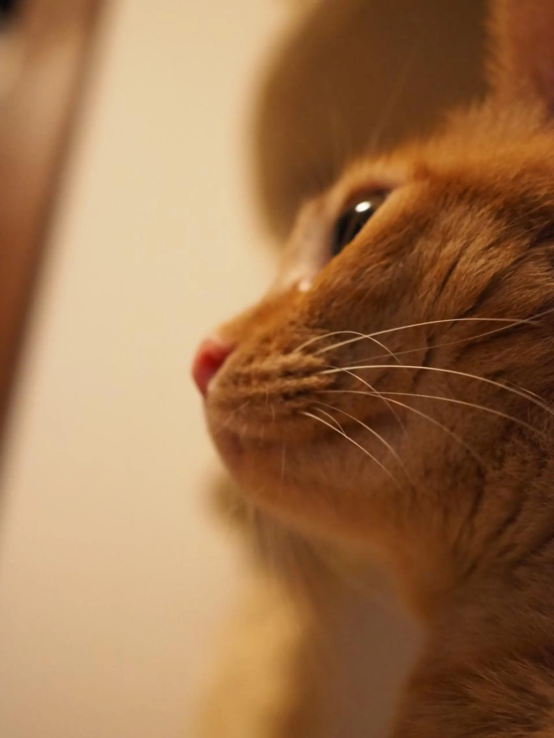 kiki nail 二子玉川のネイルデザイン