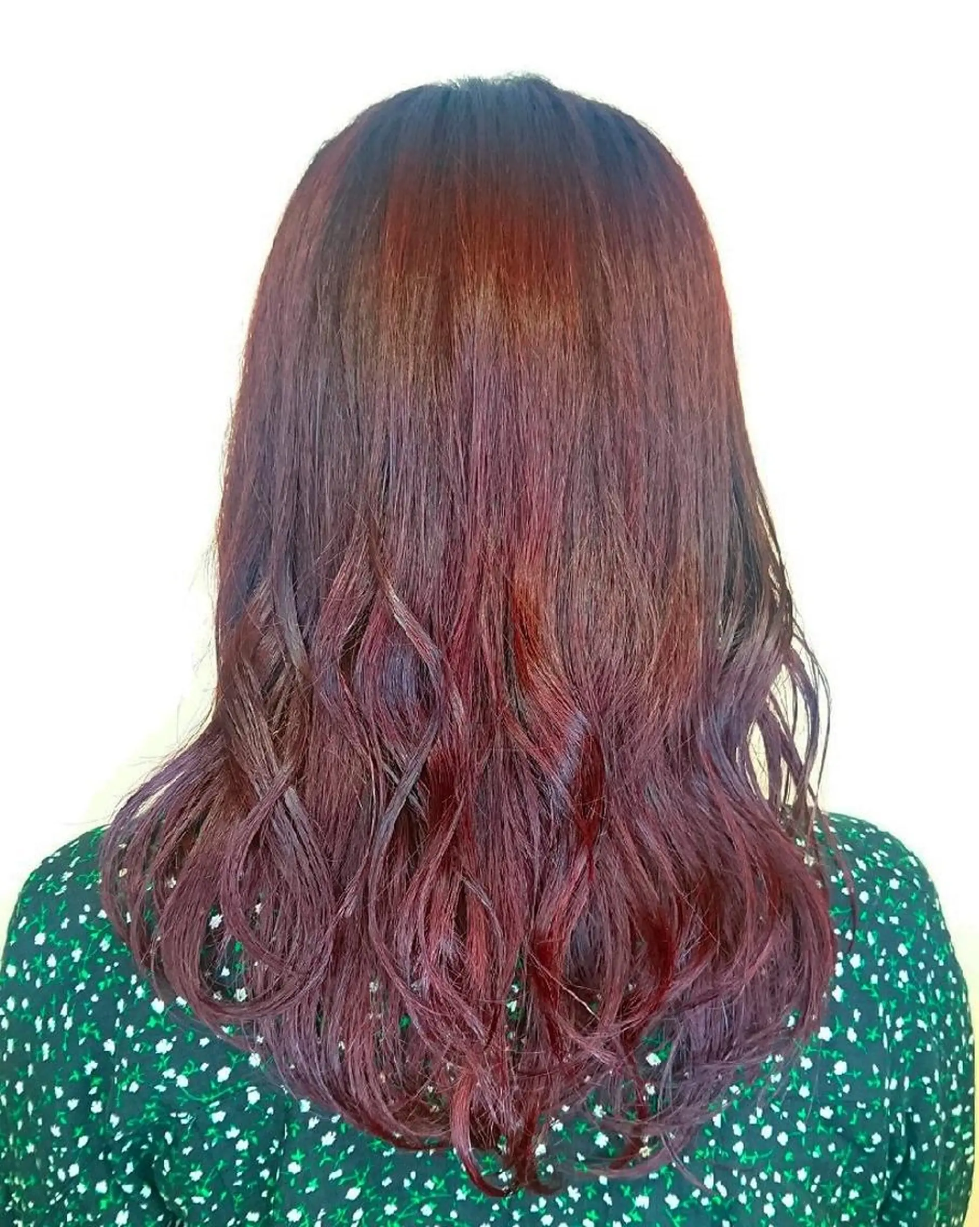 カラー カシス カット ヘアカラー ブリーチ/ヘアケア/ 艶髪/イギチハルのヘアスタイル