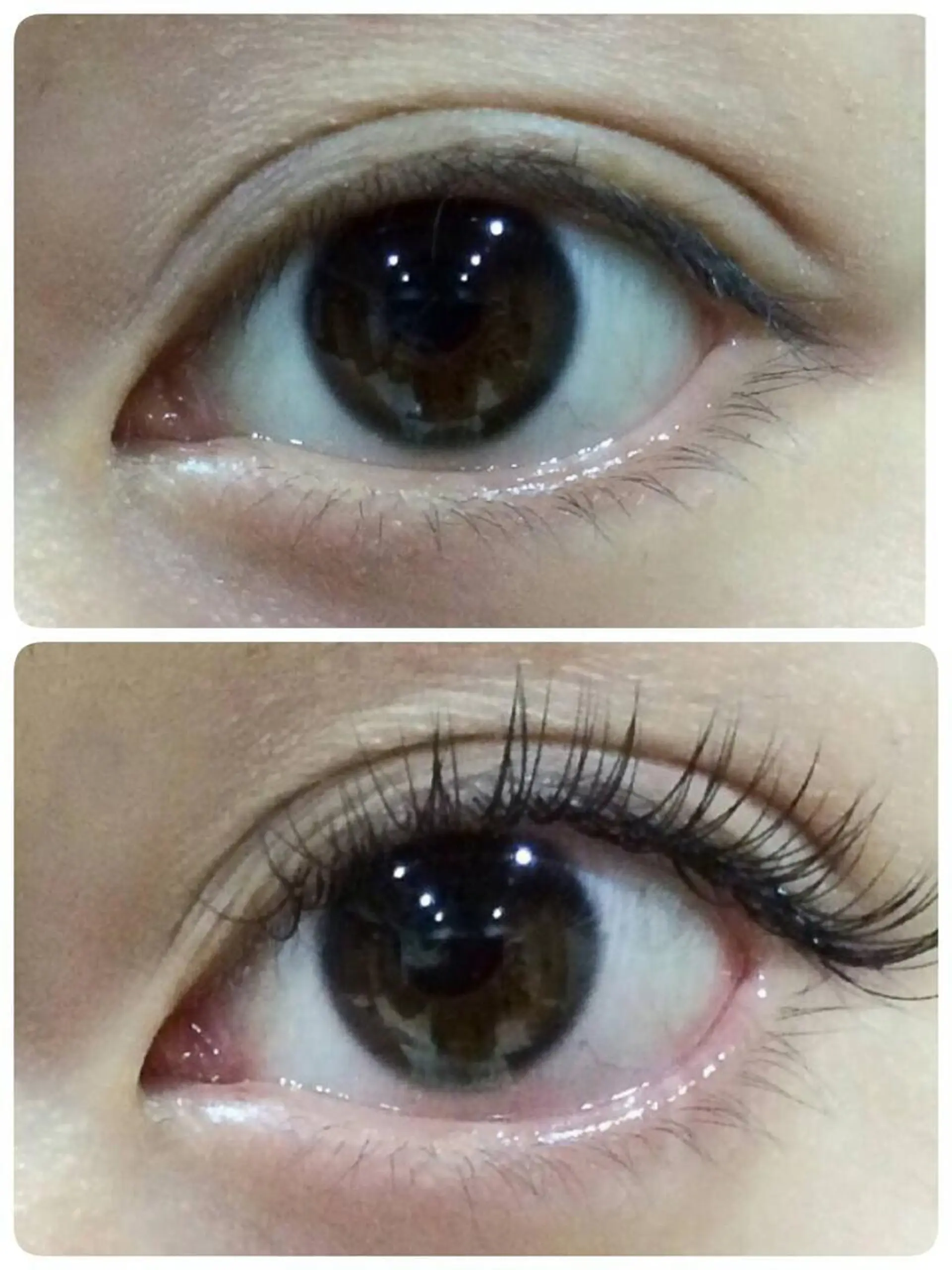 マツエク・マツパ KNACK eye lash RISAのマツエク・マツパデザイン