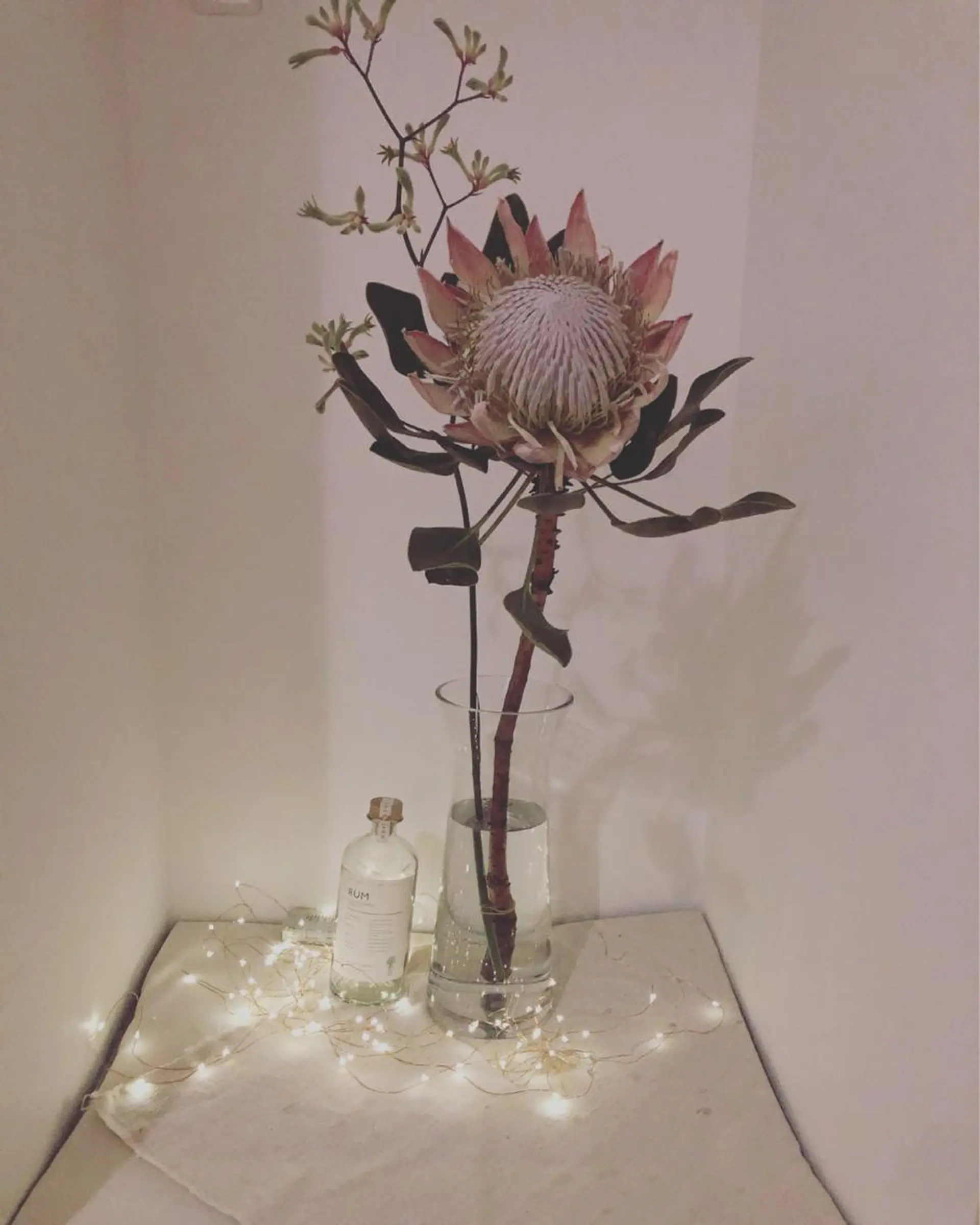 basico  のエステ・リラクイメージ