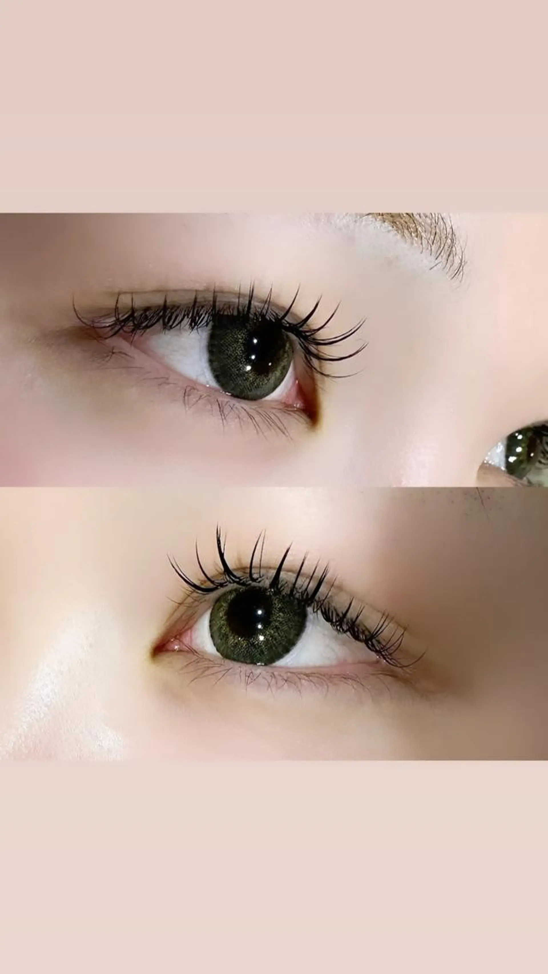 マツエク・マツパ Cカール キュート ミンク MAQUIA松阪店 坪井のマツエク・マツパデザイン