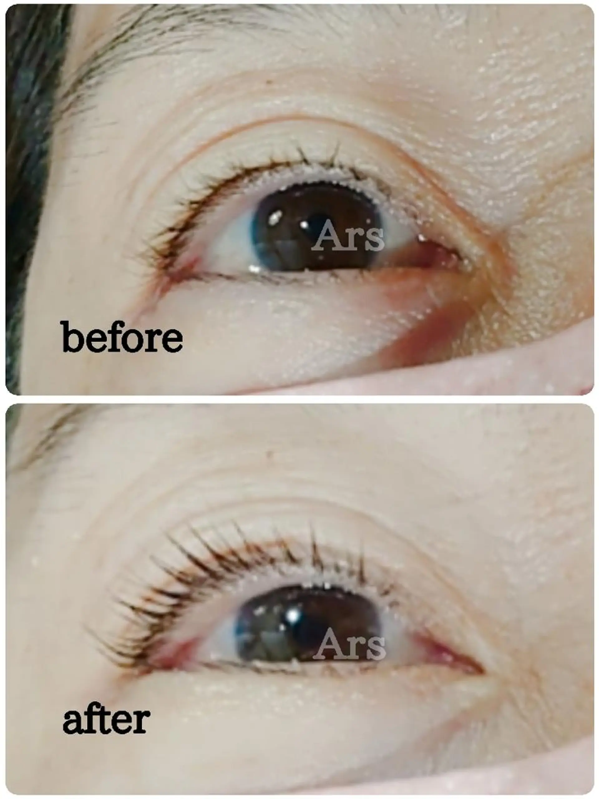 マツエク・マツパ アイリッドアップパーマ Ars  (ｱﾙｽ)所属・Ars      (ｱﾙｽ)のマツエク・マツパデザイン