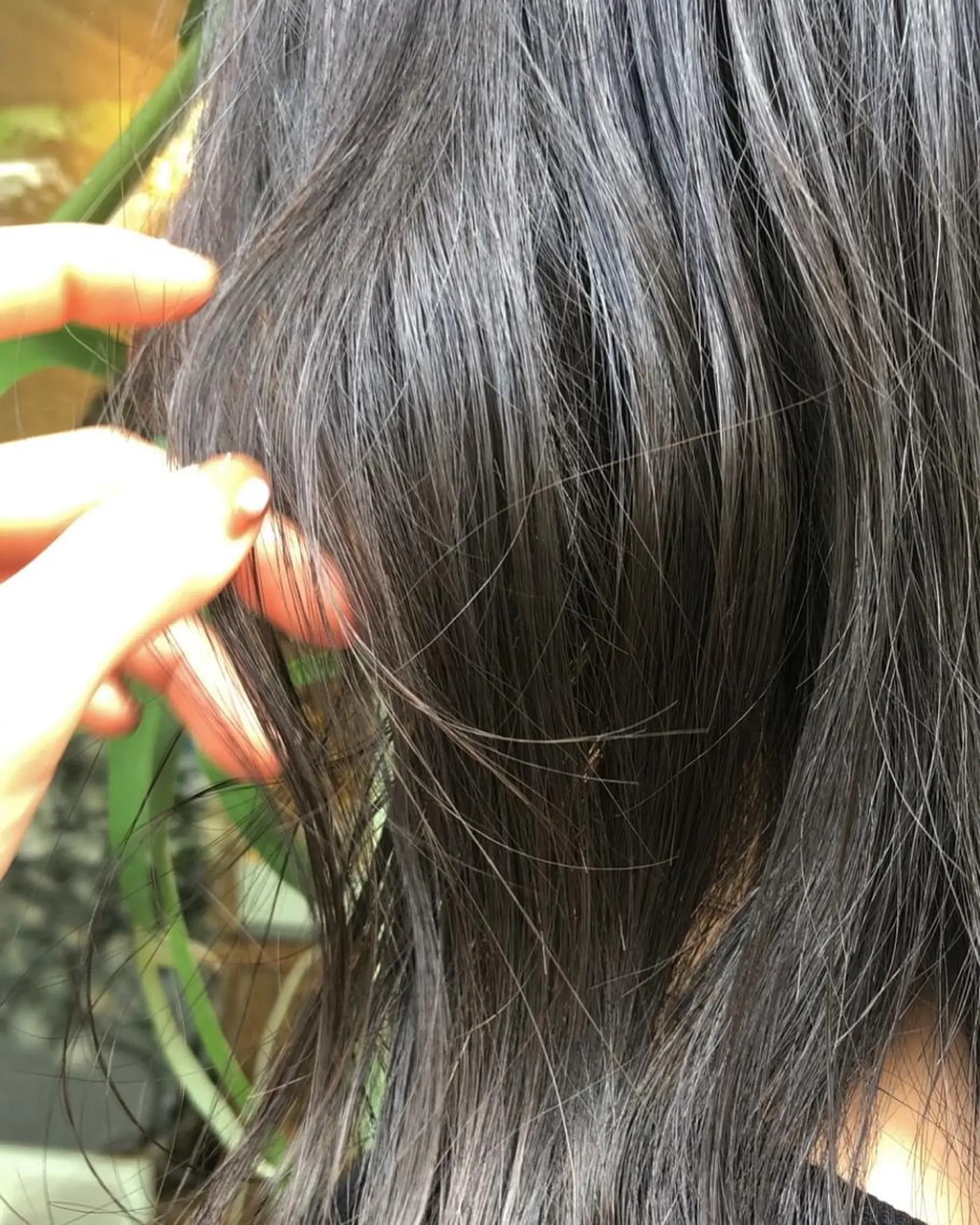 セミロング カラー honoka ikegamiのヘアスタイル