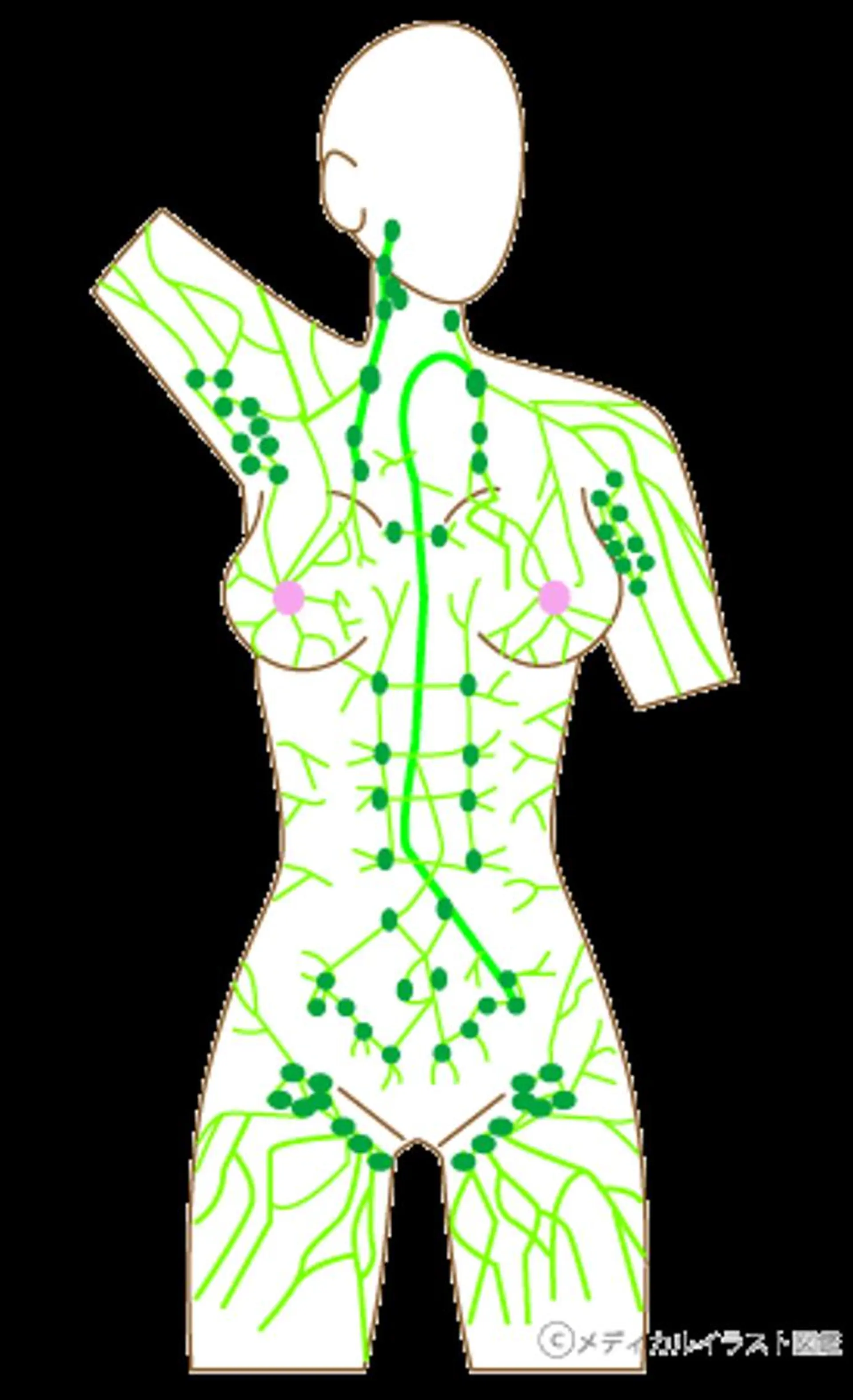 エステ リラク 田川 武史のエステ・リラクイメージ