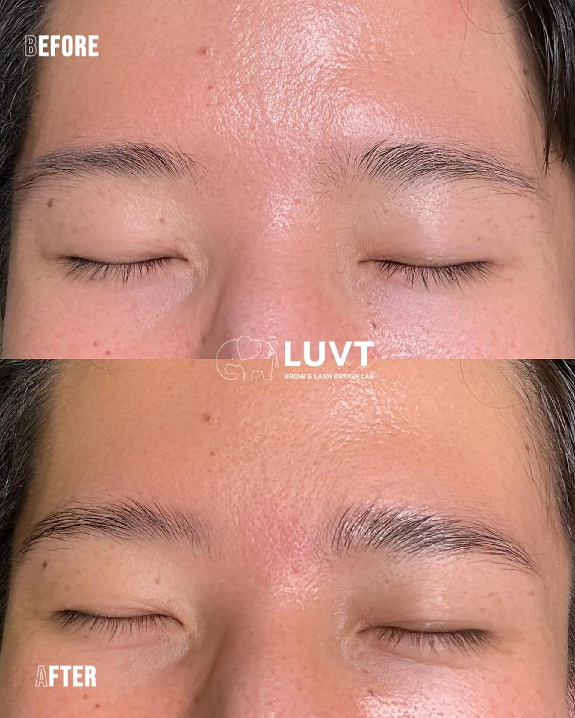 メンズ アイブロウ メンズアイブロウ AKARI 🐘🌿の眉毛・アイブロウイメージ