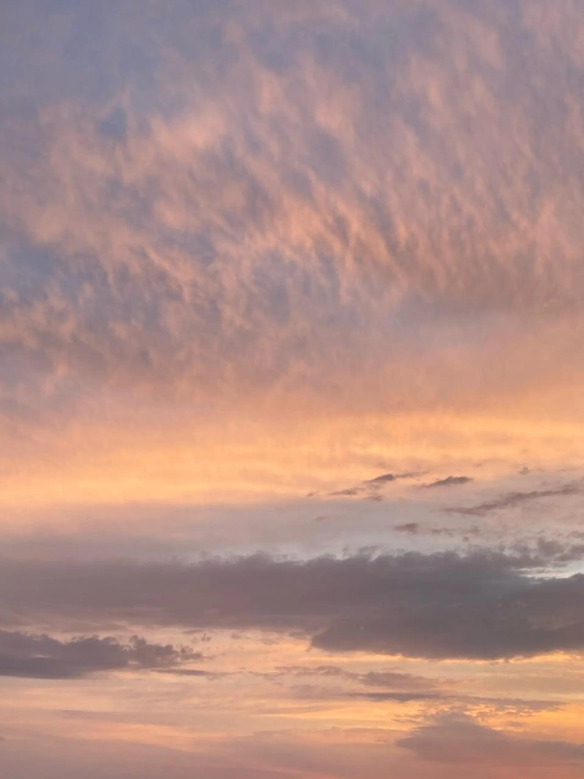 モダーン北鎌倉所属・中溝 アカリのヘアスタイル