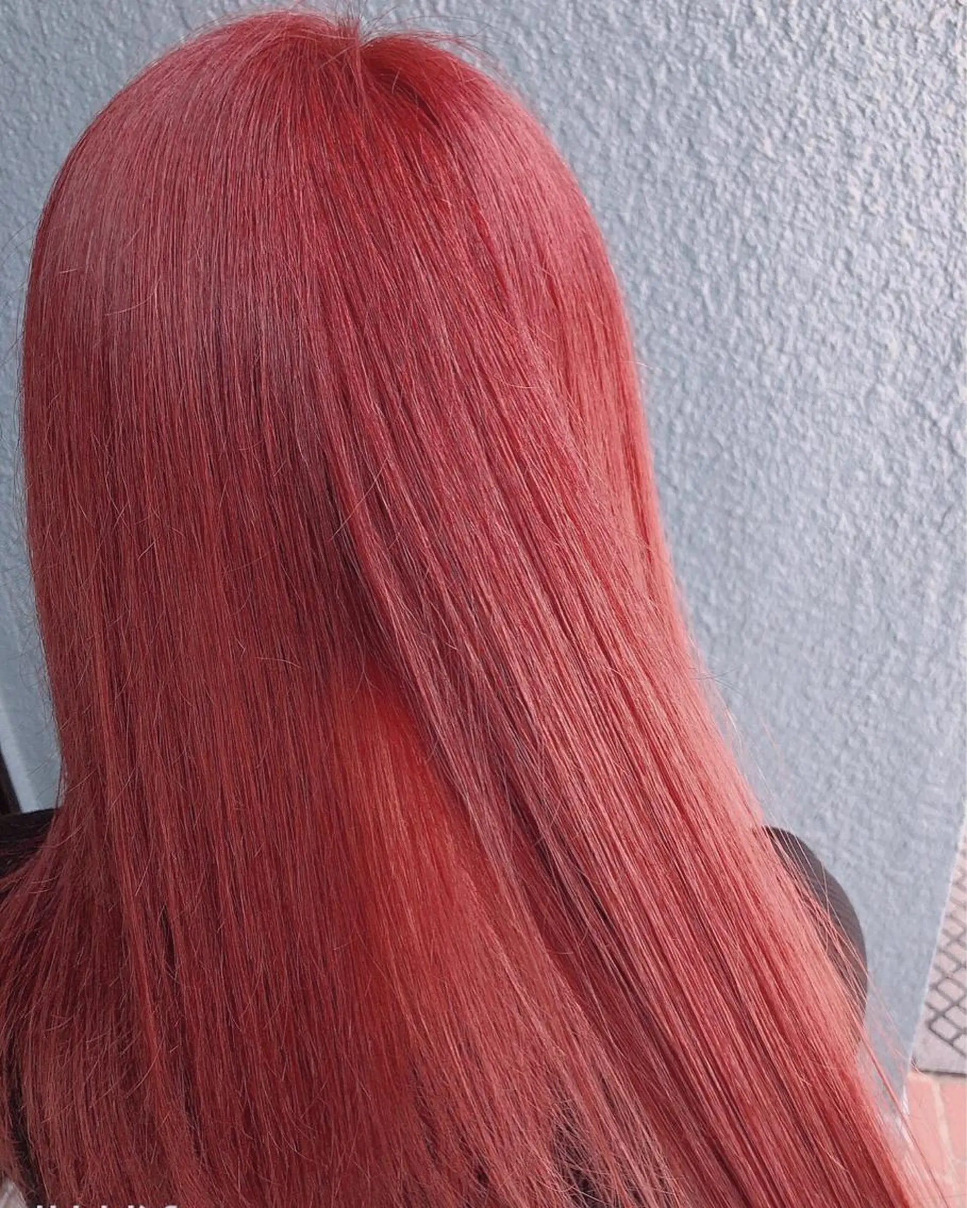 セミロング カラー ブリーチ ピンクカラー mori  by little所属・デザインカラー✨新倉 佑奈のヘアスタイル