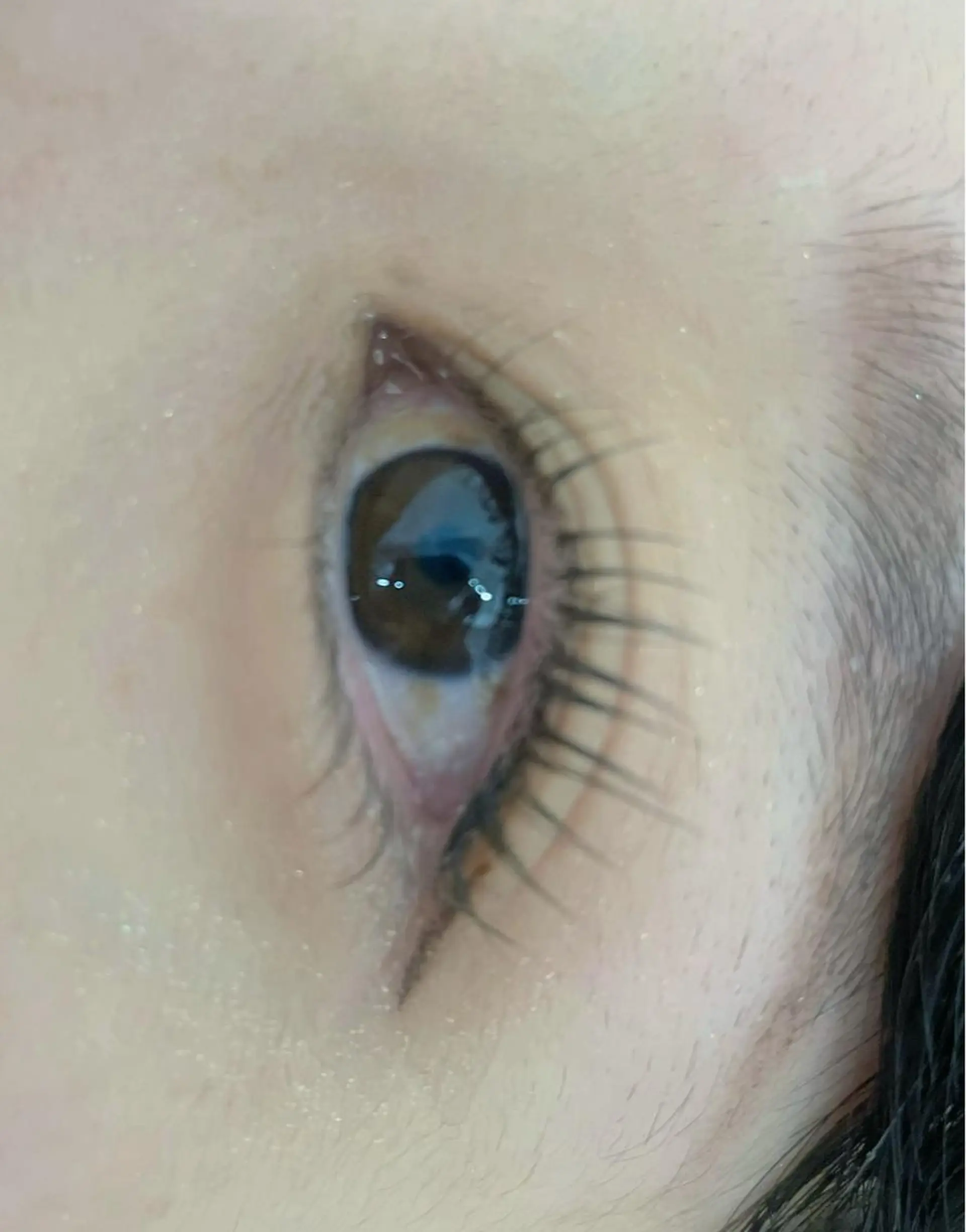 マツエク・マツパ cils·シル アイラッシュのマツエク・マツパデザイン