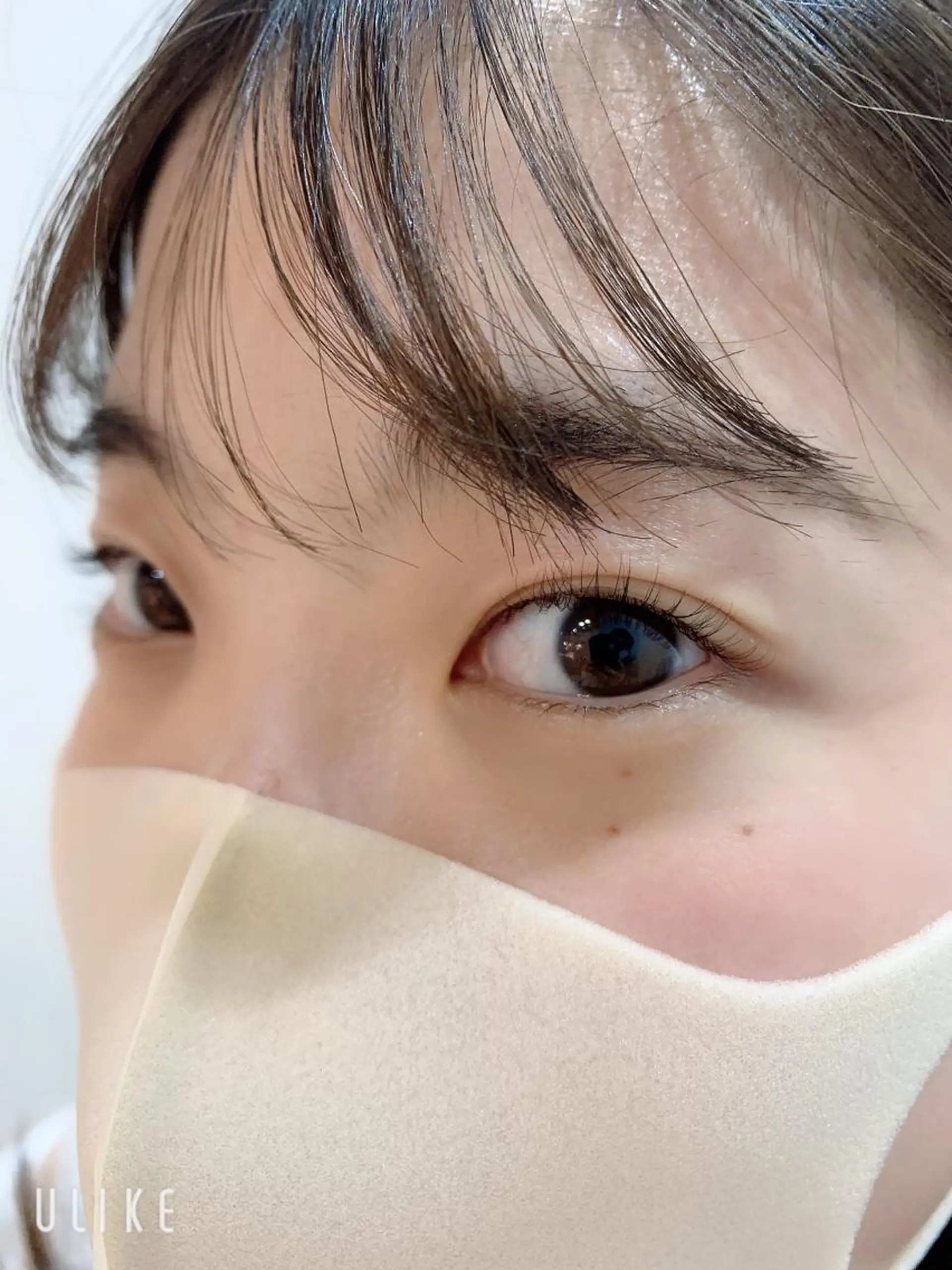 ネイル マツエク・マツパ パリジェンヌラッシュリフト まつげパーマ 下まつげエクステ 一重×まつ毛パーマ 一重・奥二重歓迎 👀濱本喜子のマツエク・マツパデザイン