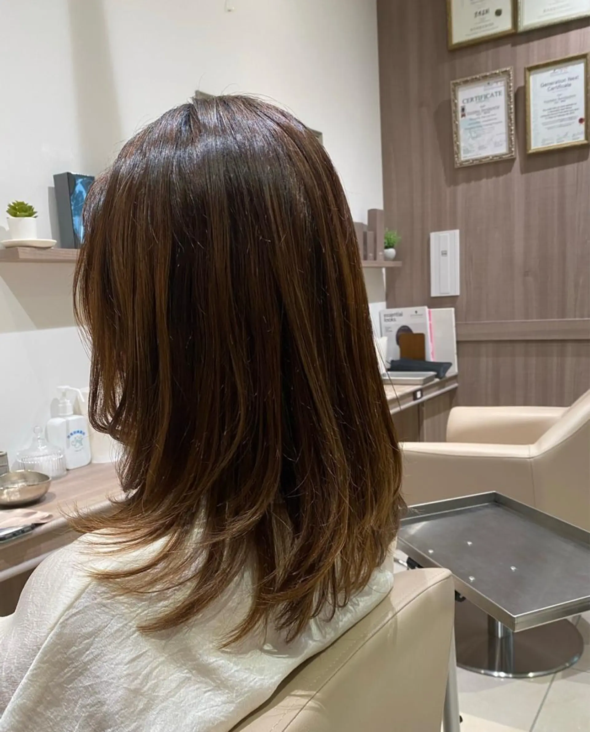 セミロング カラー Ash 銀座店所属・骨格補正カット /マンツーマン/のヘアスタイル