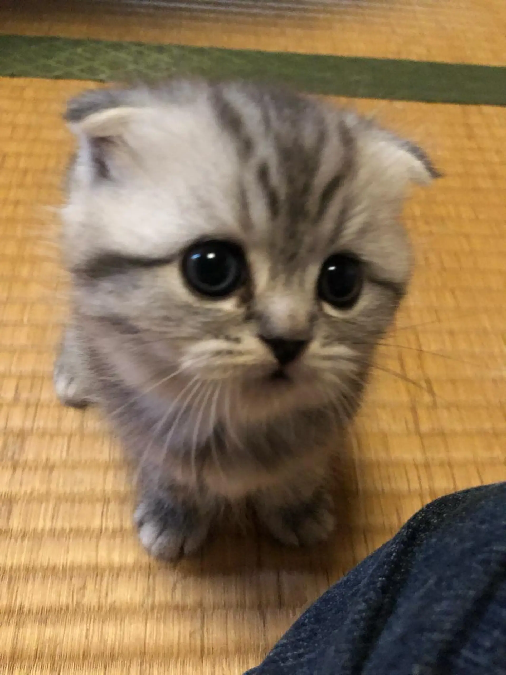 【安心ハンドテク】 メナード富田丘のエステ・リラクイメージ