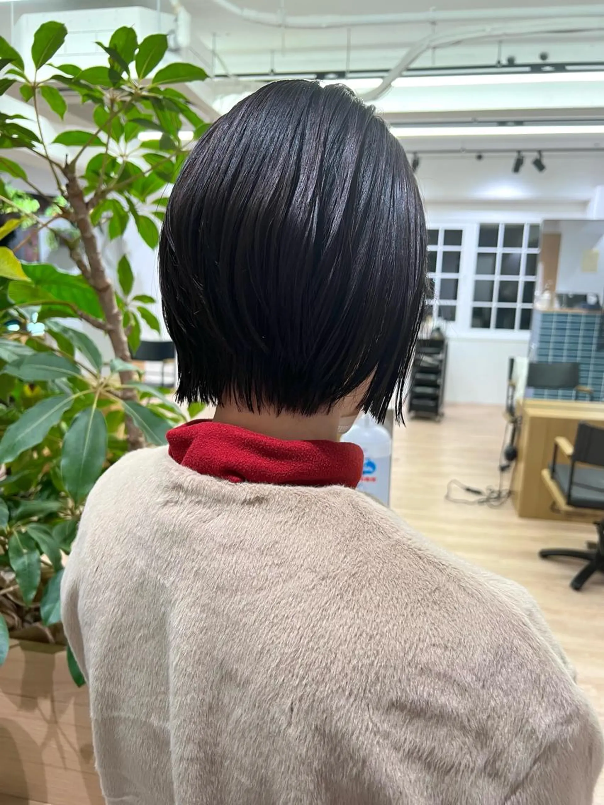 ショート カラー ショートボブ ボブ ショートヘア 田中 愛梨のヘアスタイル