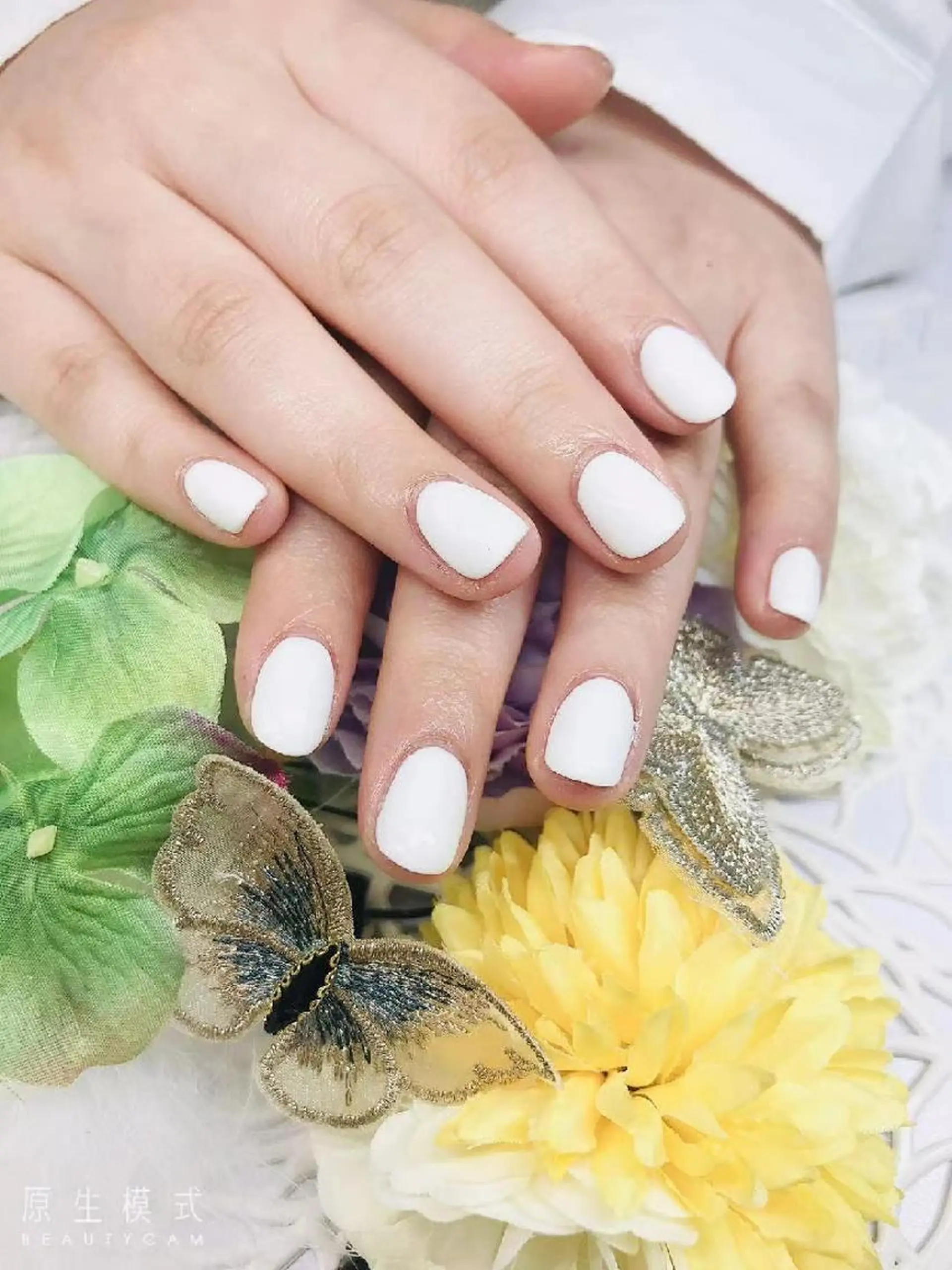 ネイル ワンカラーネイル サロン リアンのマツエク・マツパデザイン