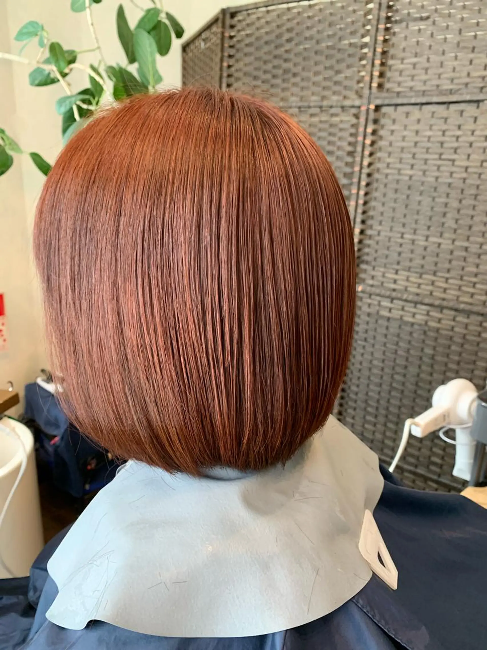 ショート カラー ベージュカラー ブリーチ ブリーチなしカラー オレンジ オレンジベージュ LUCIA所属・透明感カラー/ブリー チ無し/瀧田恭平のヘアスタイル