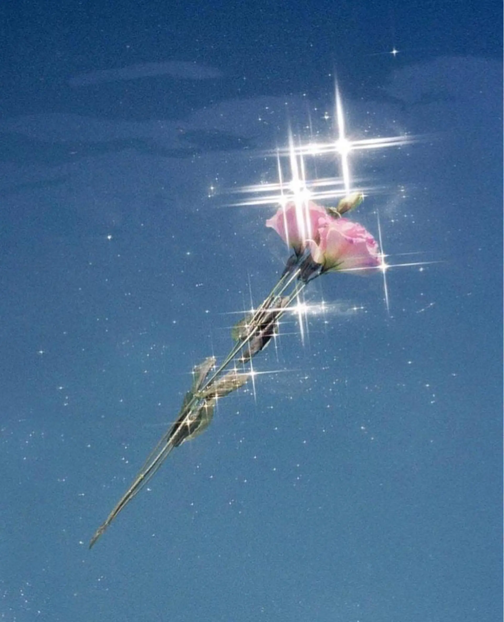 マツエク・マツパ ✨アイリスト✨ JURIのマツエク・マツパデザイン