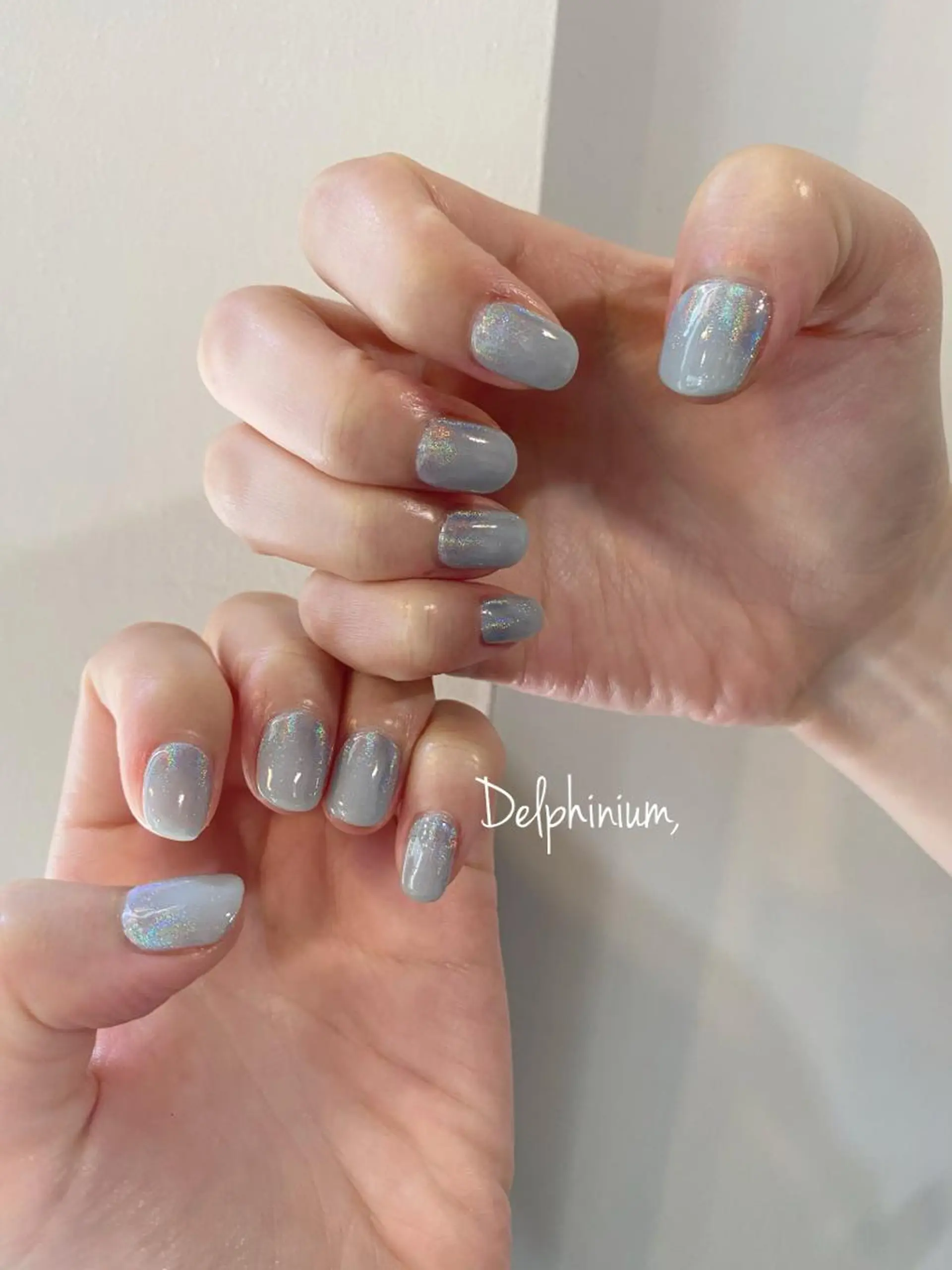 ネイル オーロラネイル ミラーネイル ワンカラーネイル ハンドネイル 岡本 友恵のネイルデザイン