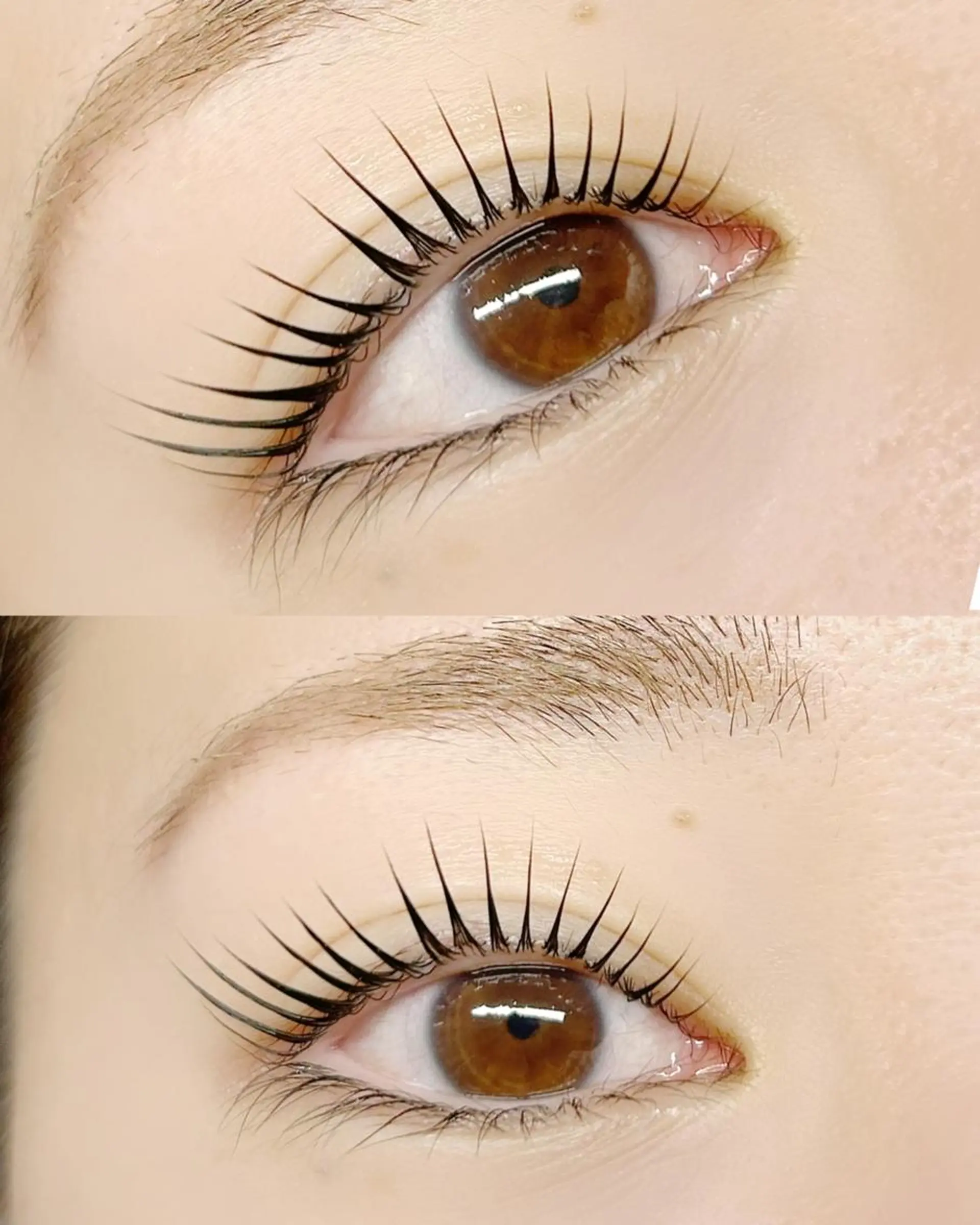 マツエク・マツパ マツパ lieu pré eyelashの眉毛・アイブロウイメージ