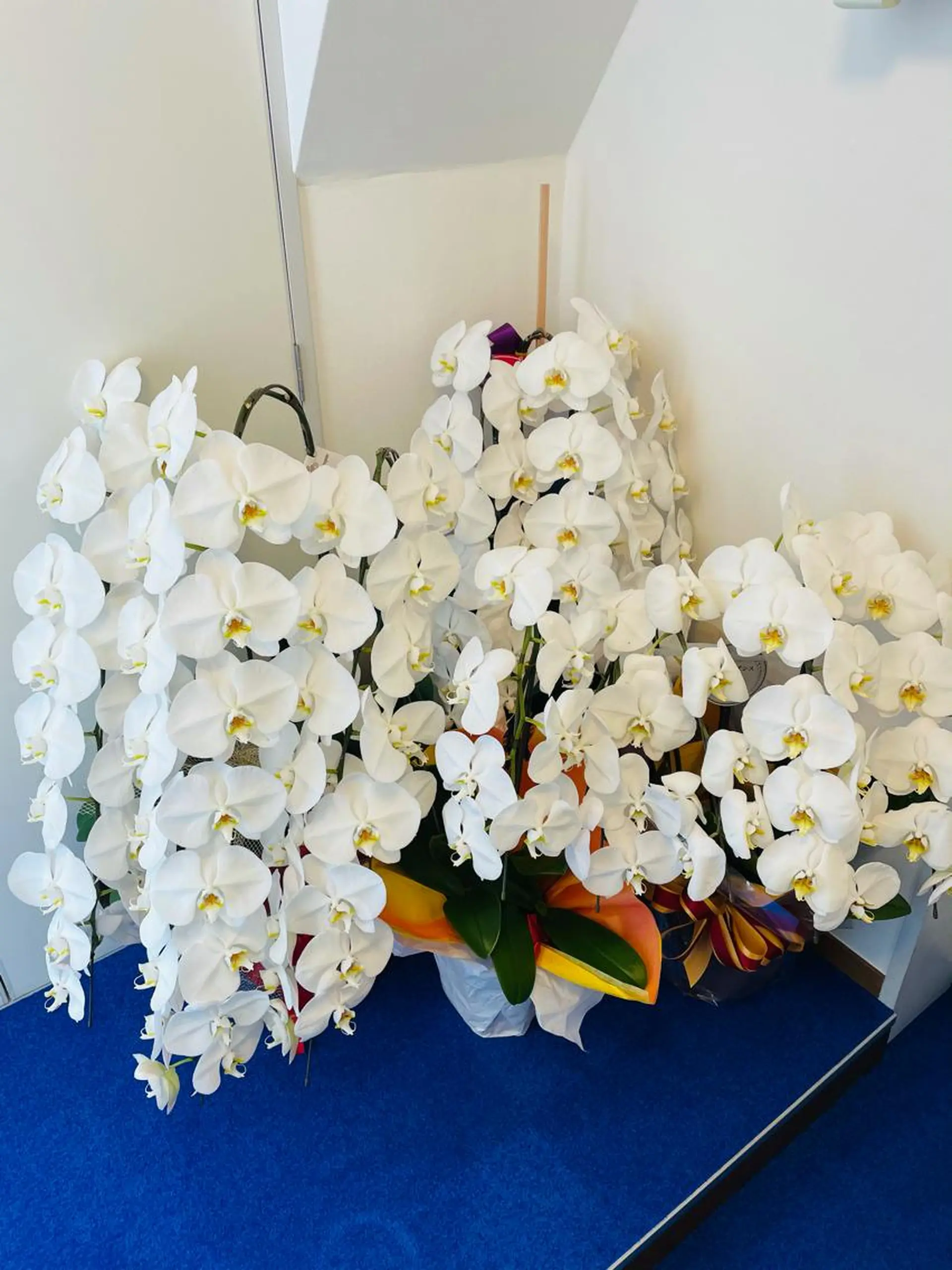 小顔美容鍼専門サロン 渋谷YZのその他イメージ