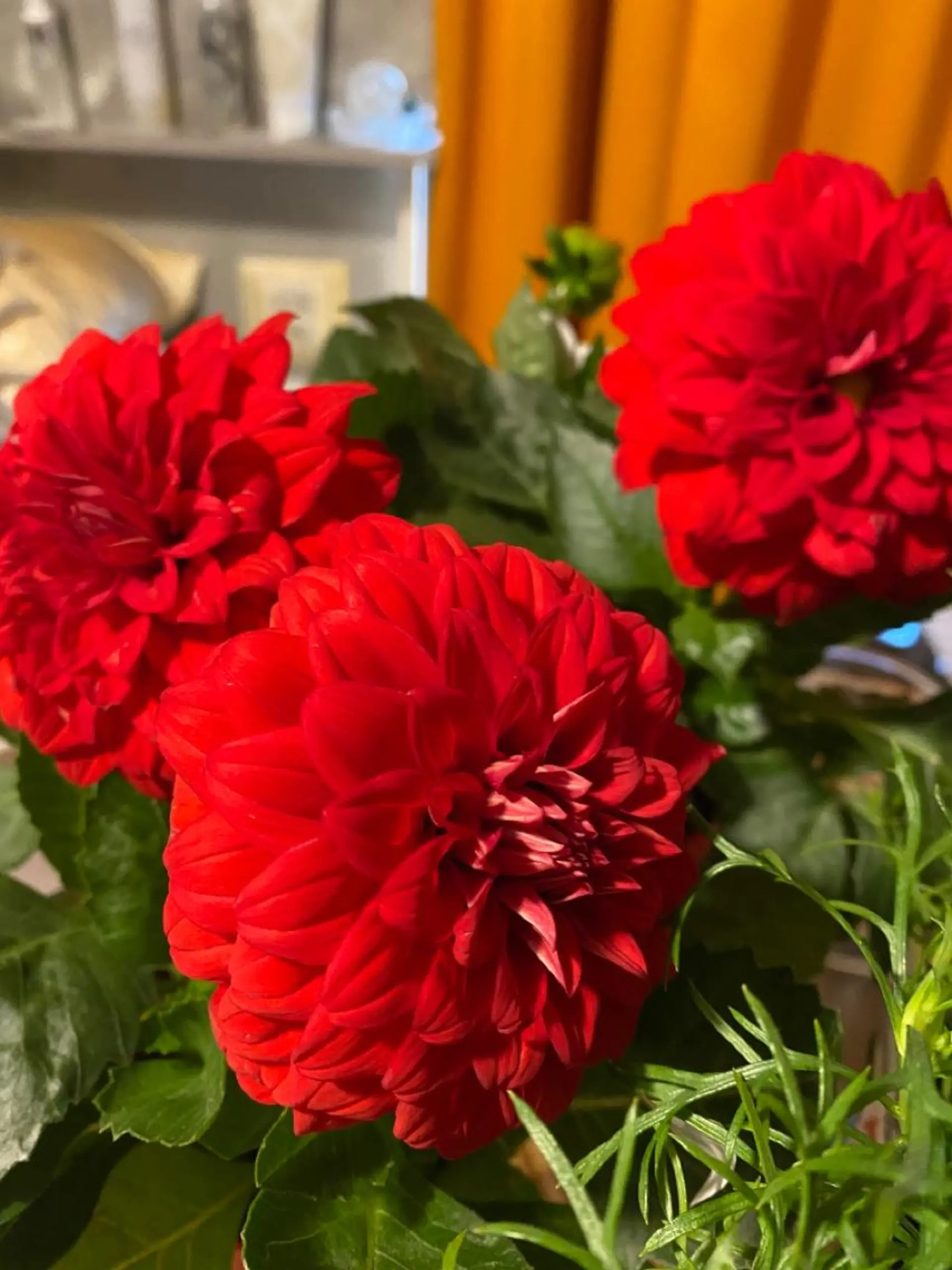 Mandarin Orange所属・毛穴から始める肌メン テマンダリンオレンジのエステ・リラクイメージ