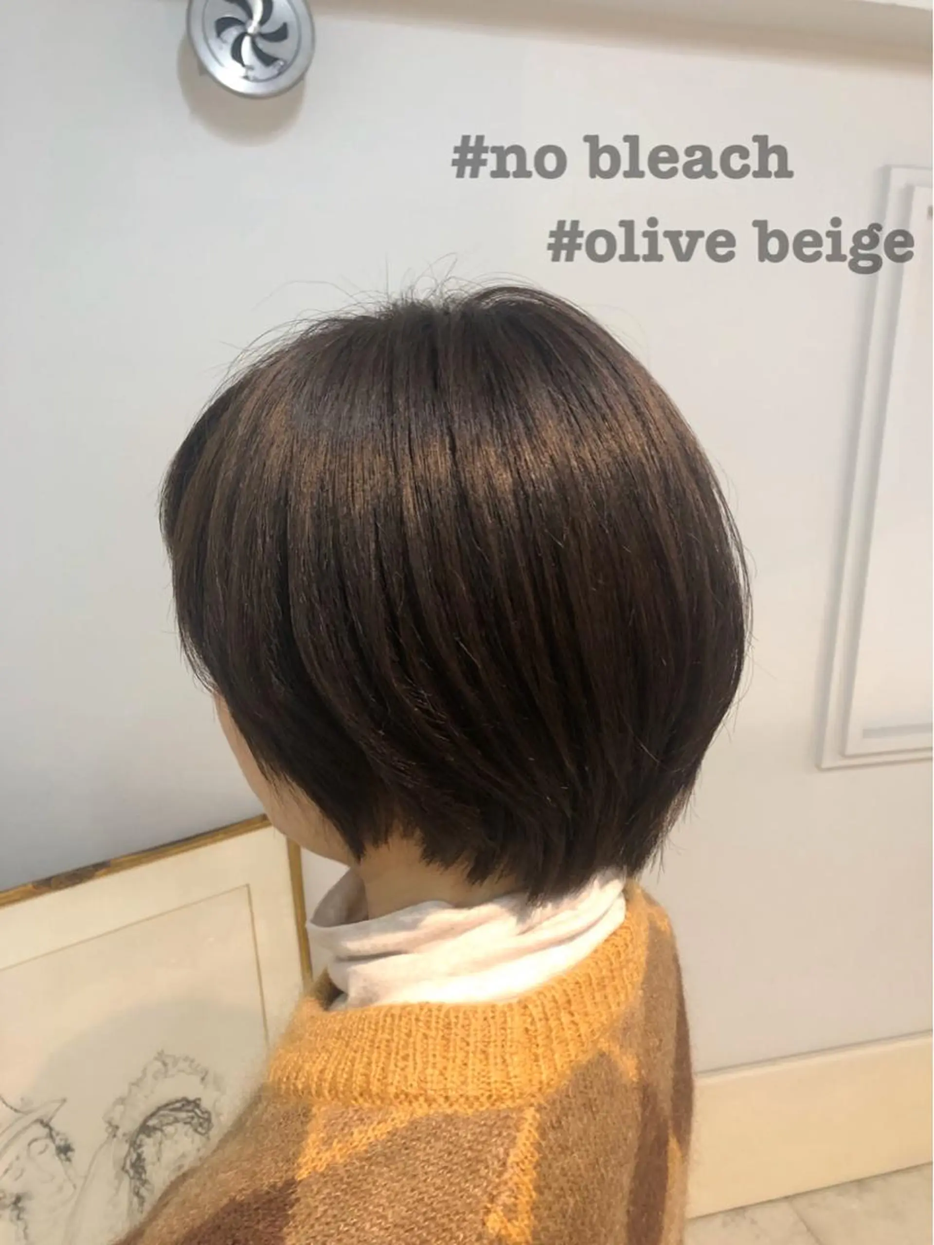 ショート カラー ベージュカラー ブリーチ ブラウンカラー ブリーチなしカラー オリーブベージュ 🤍中野 レオ🤍のヘアスタイル