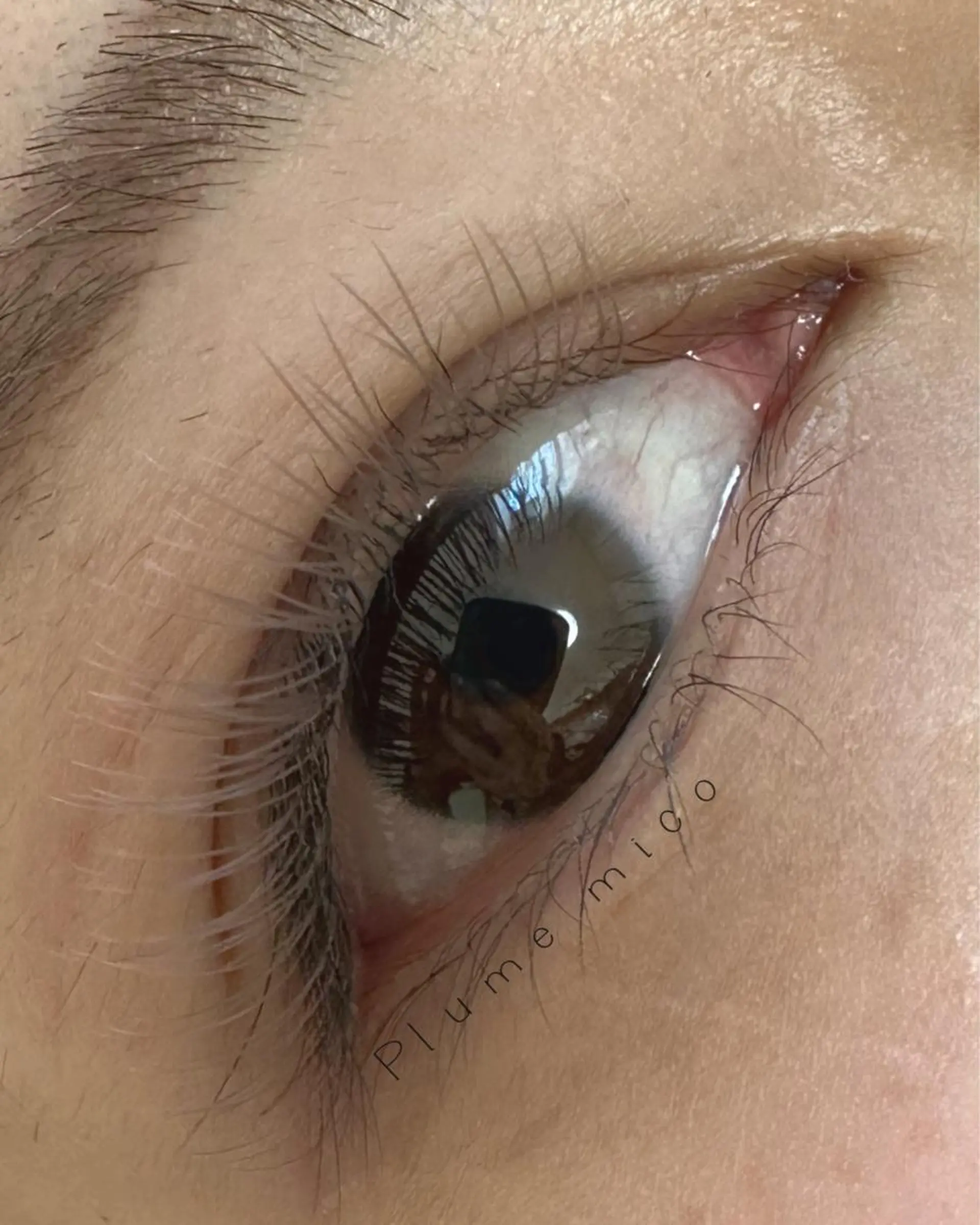 マツエク・マツパ マツエク Plume micoのマツエク・マツパデザイン