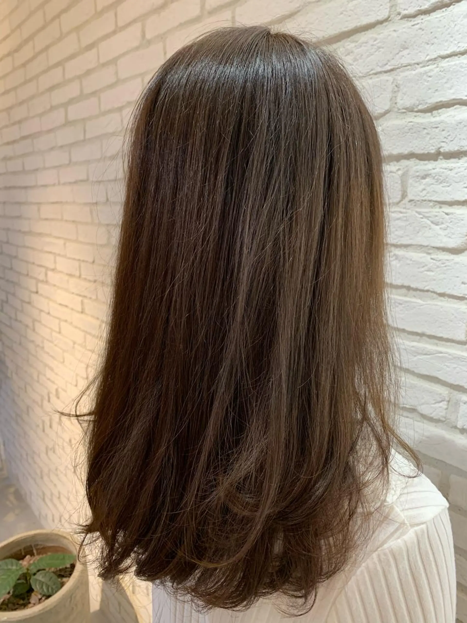 ミディアム アッシュ ✨髪質改善　美髪✨ 縮毛　井上 大誠のヘアスタイル