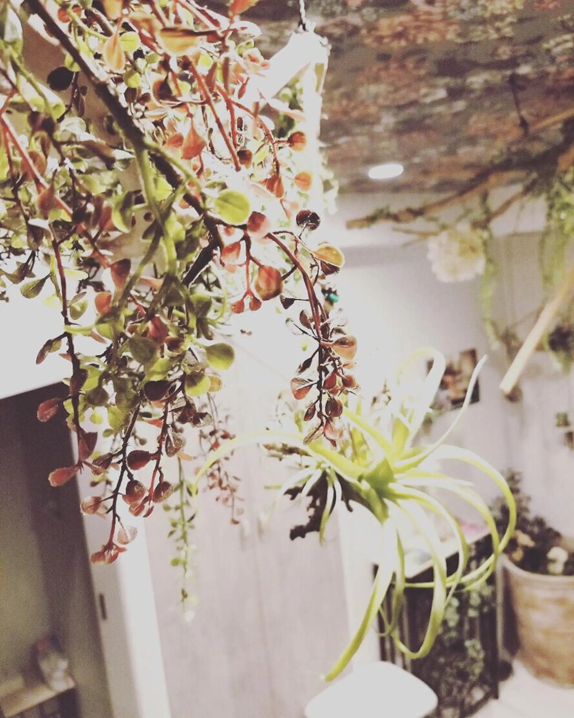 ラヴァコケット 梅田店のエステ・リラクイメージ