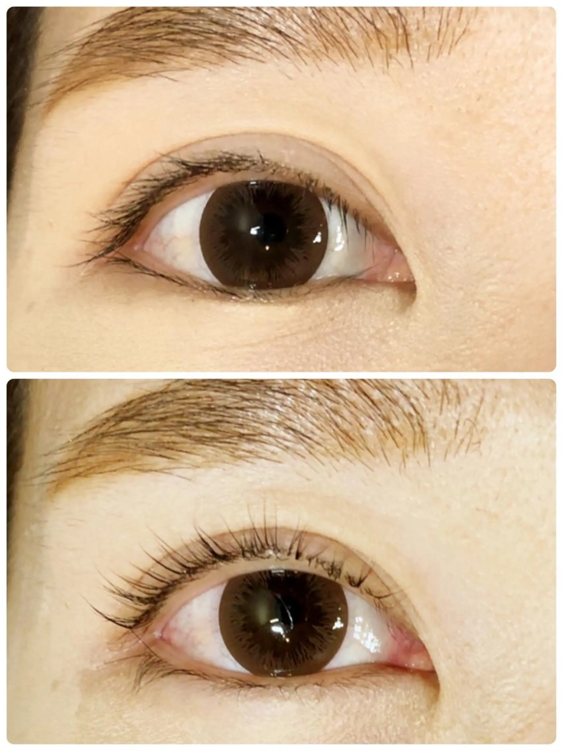 マツエク・マツパ Liliane所属・吉田 彩花のマツエク・マツパデザイン