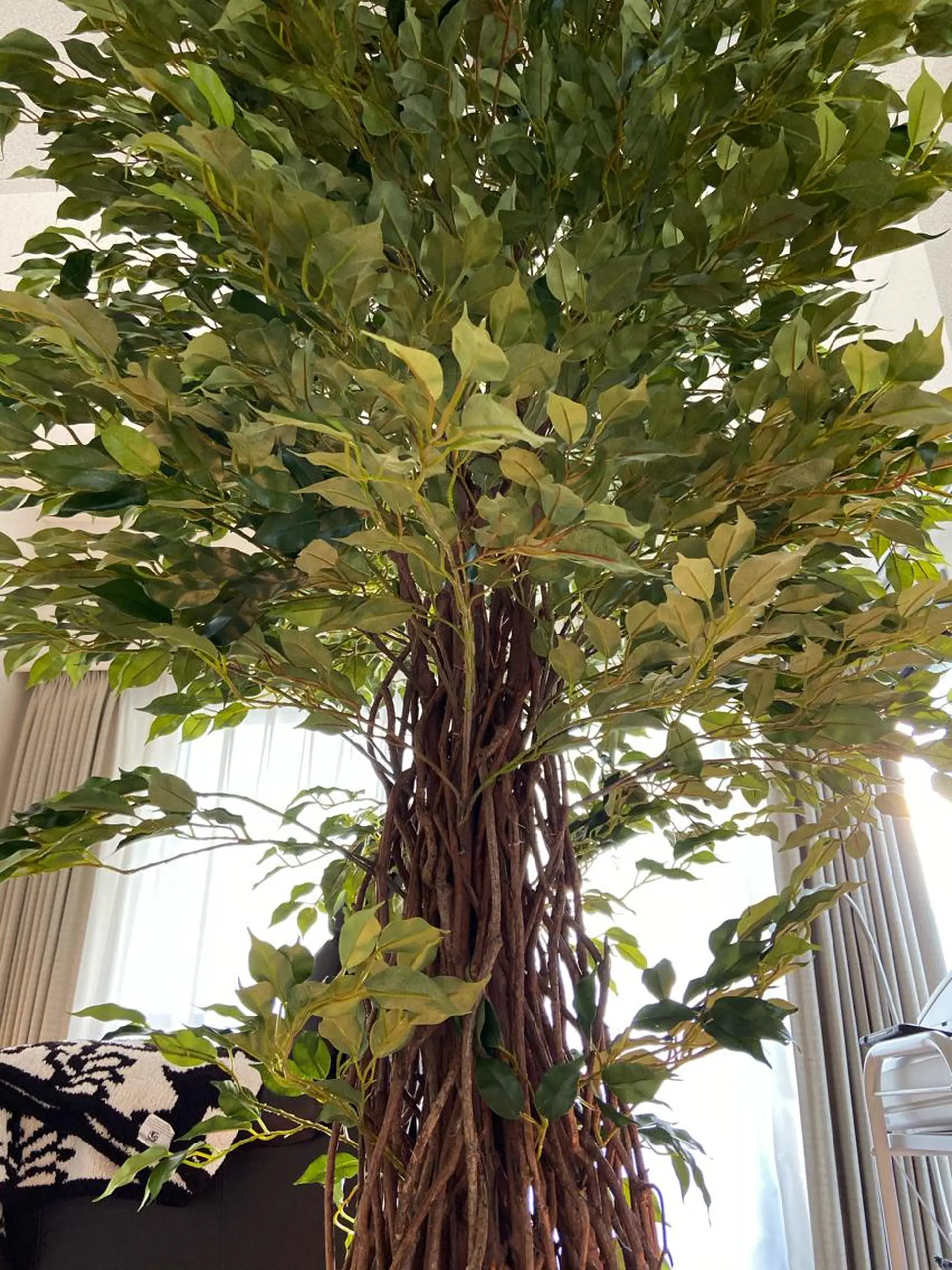 マツエク・マツパ マツエク La moda.二子玉川店所属・La moda. 二子玉川店のマツエク・マツパデザイン