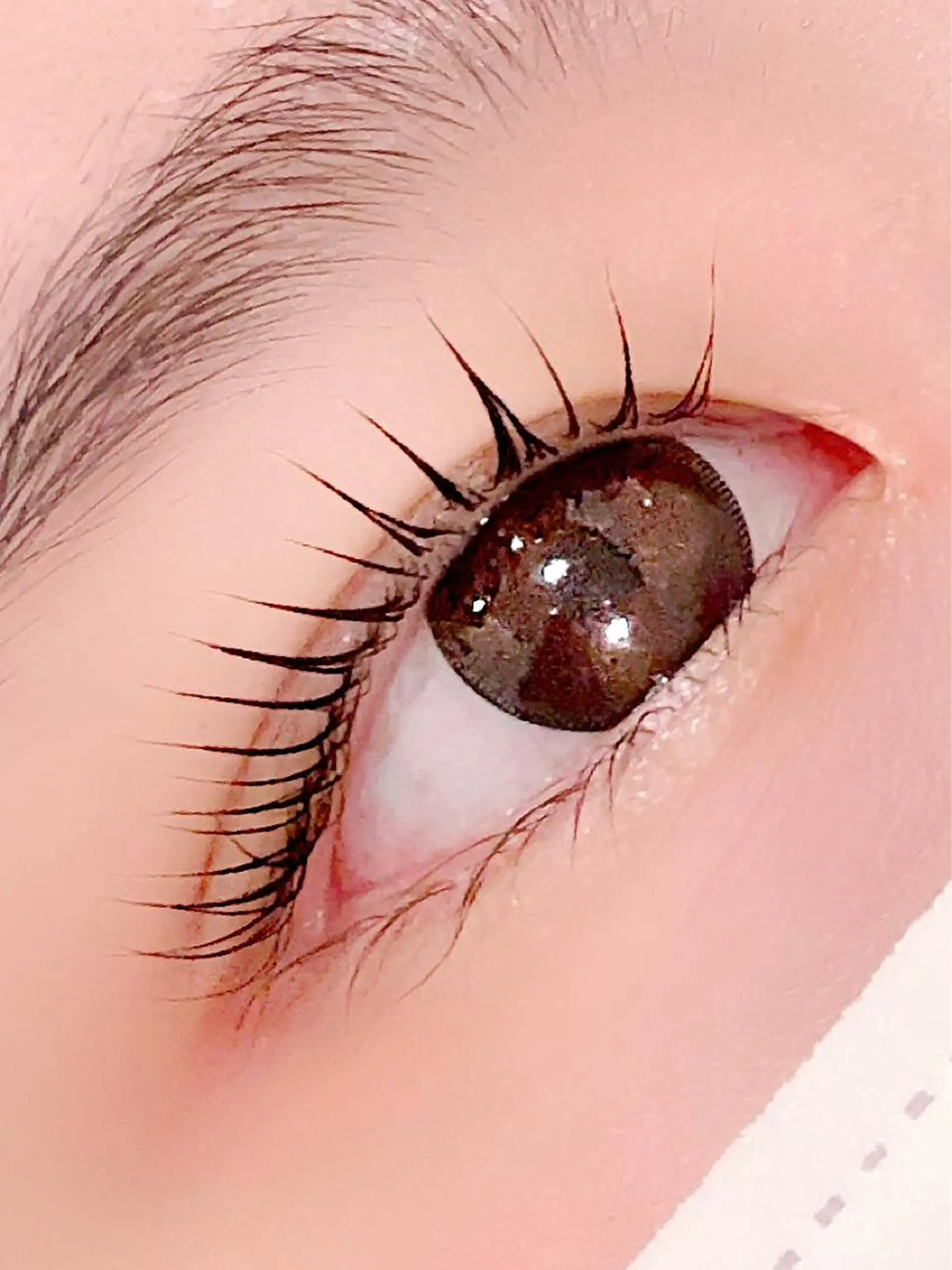 マツエク・マツパ パリジェンヌラッシュリフト hibiki 🤍sofa立川のマツエク・マツパデザイン