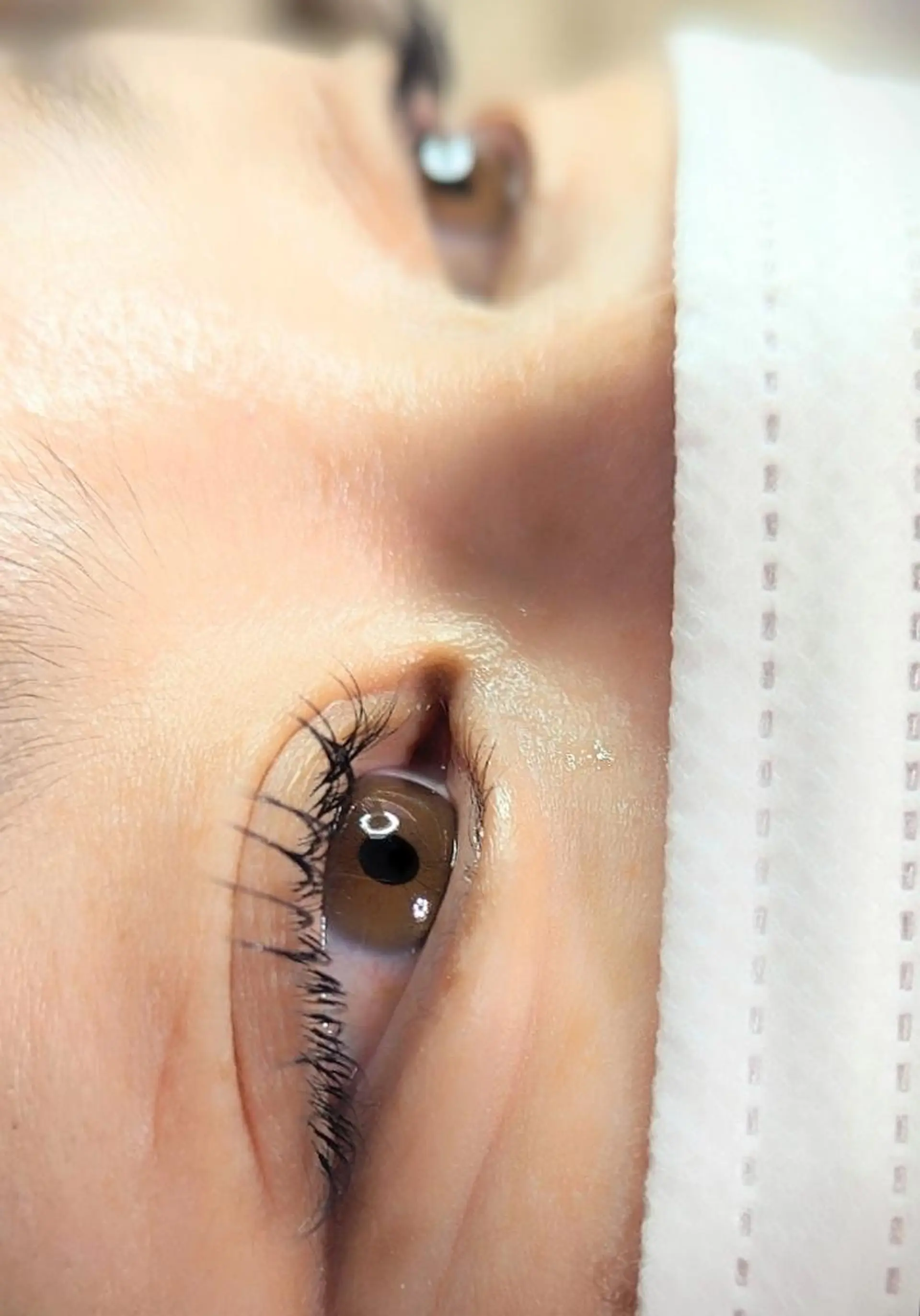 マツエク・マツパ マツエク ikumi  watanabeのエステ・リラクイメージ