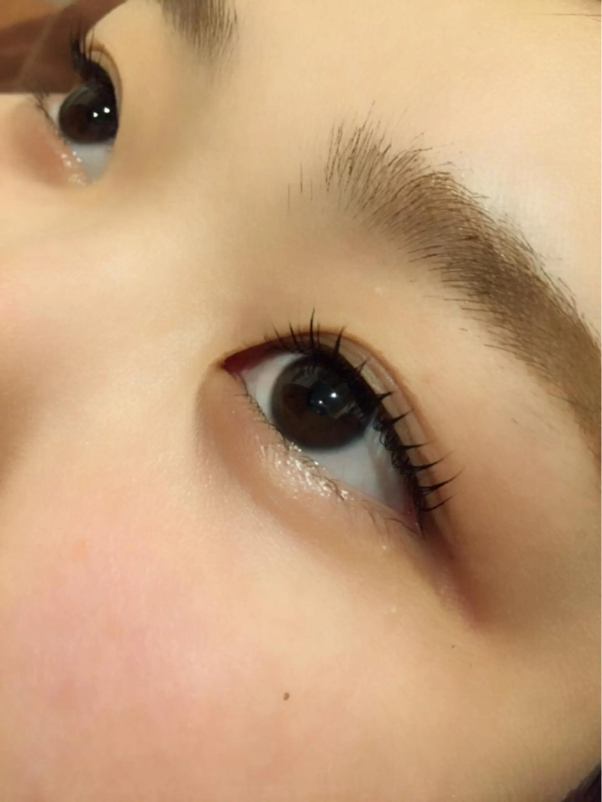 マツエク・マツパ マツパ 🐰 坂本 麗 🐰の眉毛・アイブロウイメージ