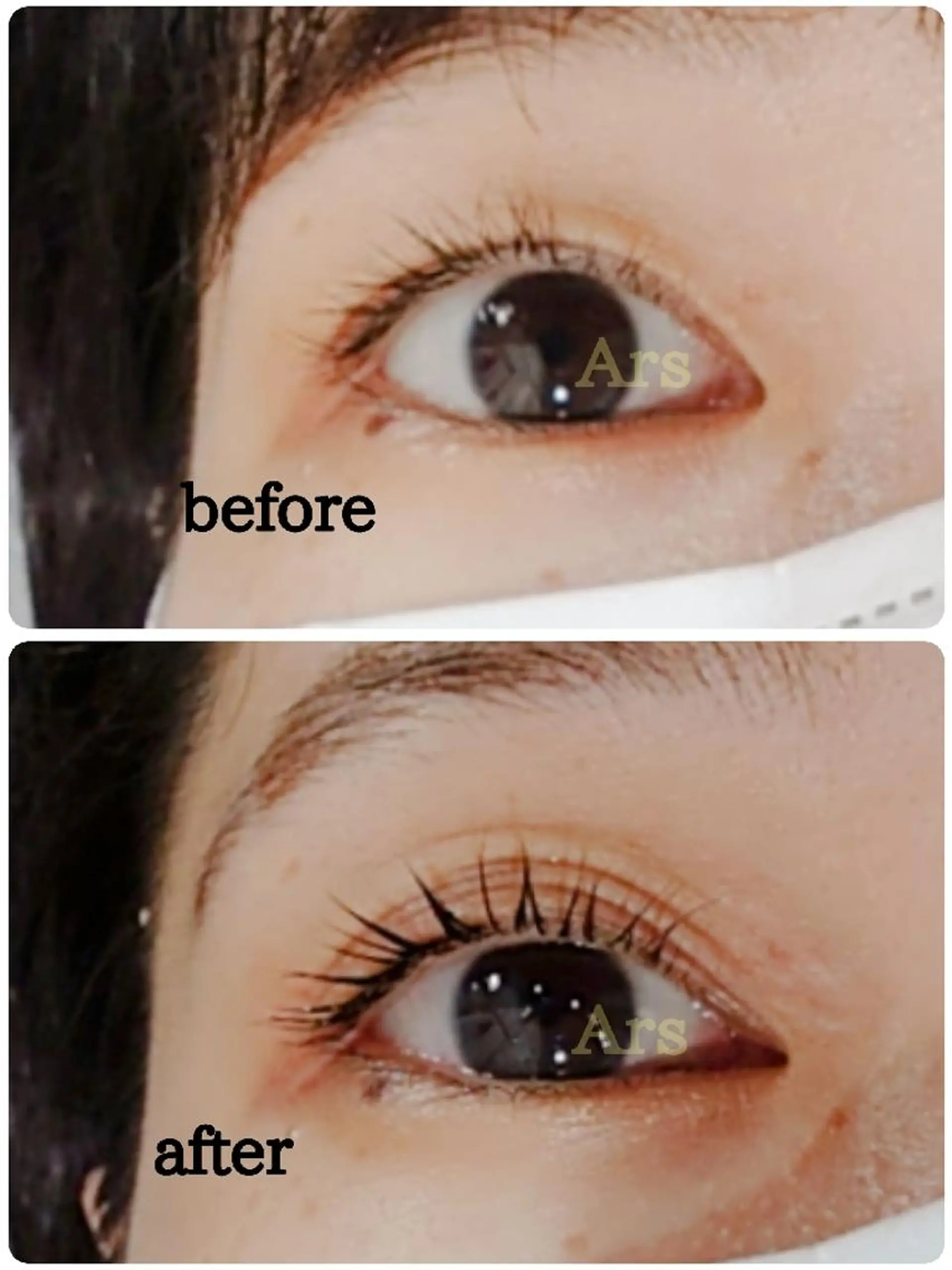 マツエク・マツパ アイリッドアップパーマ Ars  (ｱﾙｽ)所属・Ars      (ｱﾙｽ)のマツエク・マツパデザイン