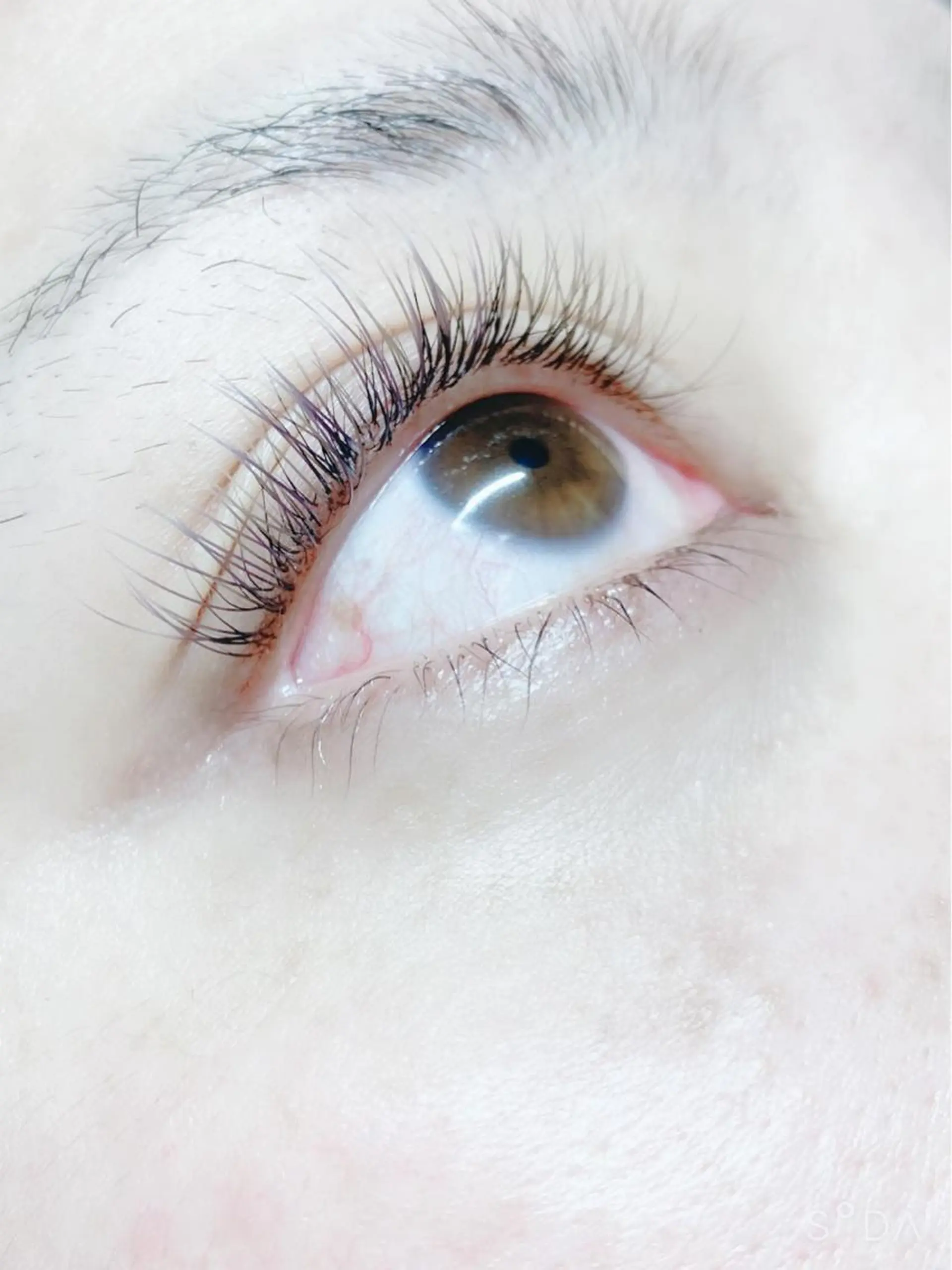 マツエク・マツパ フラットラッシュ MT所属・M Tのマツエク・マツパデザイン