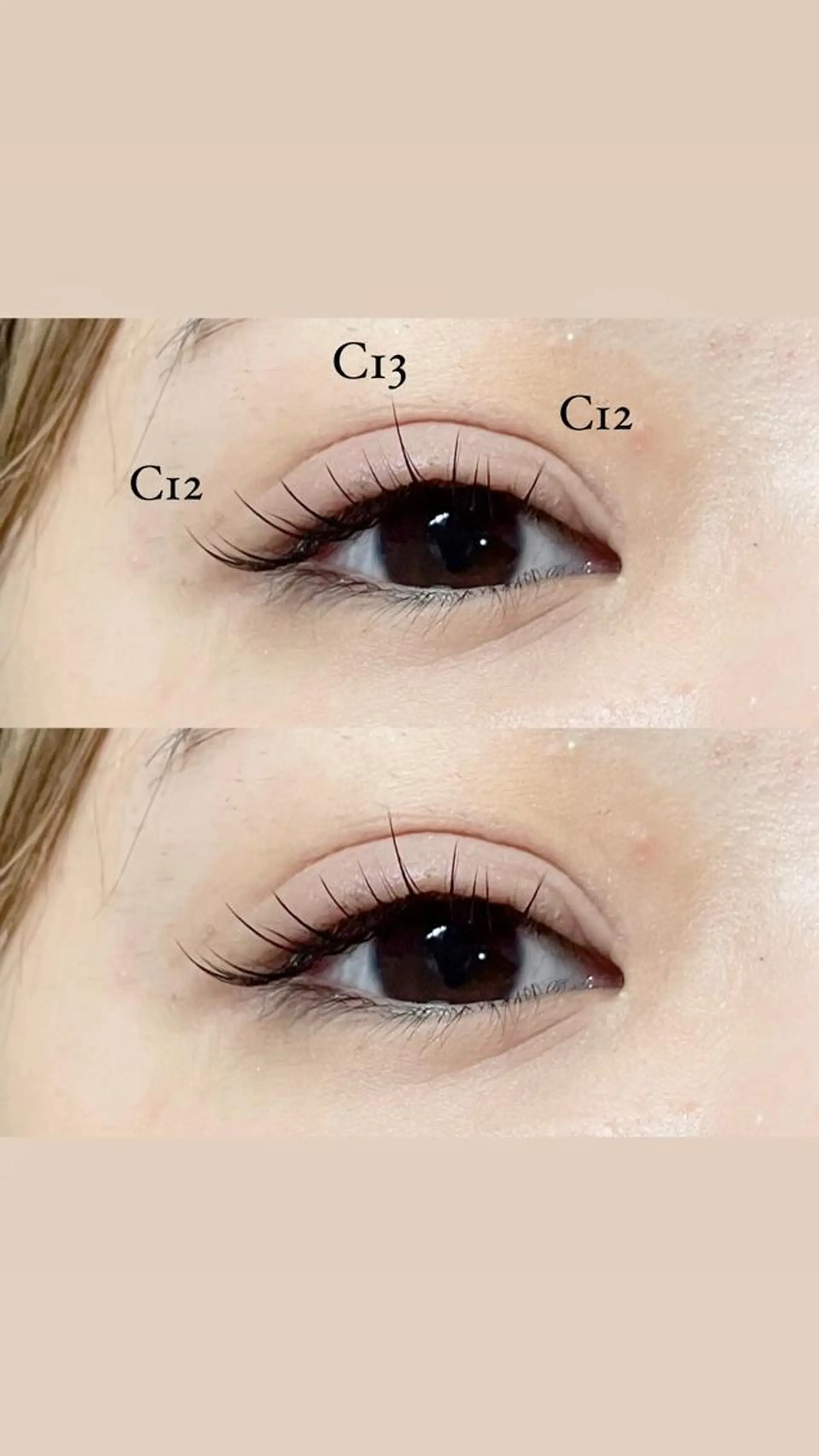 マツエク・マツパ セーブル ＋tico _ayanaのマツエク・マツパデザイン