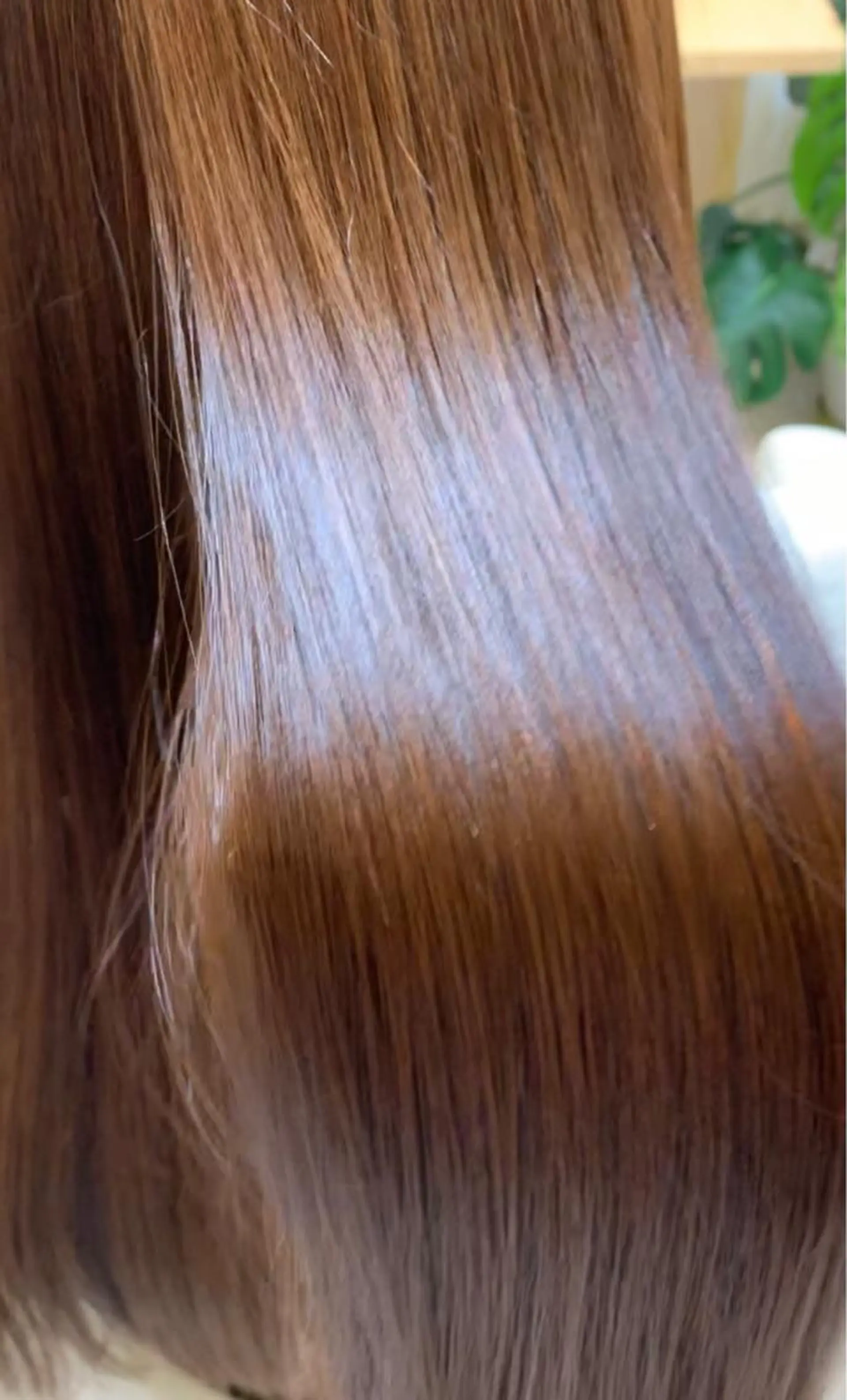 セミロング パーマ 縮毛矯正 トリートメント 高尾 成紀のヘアスタイル