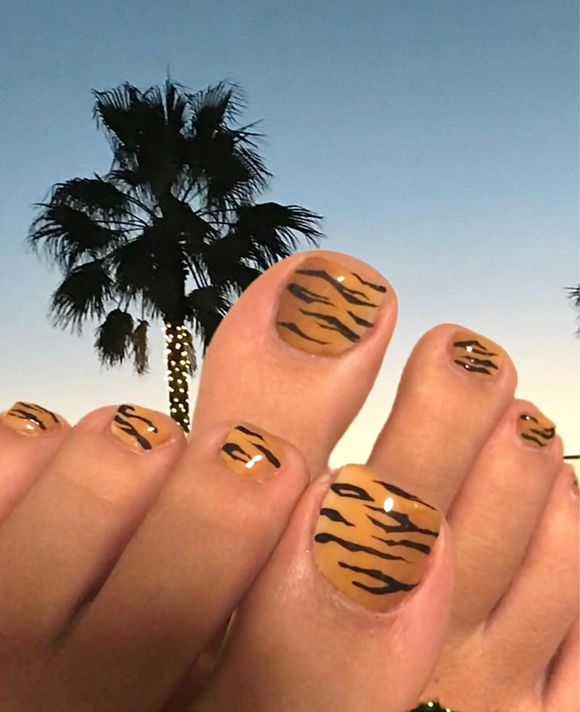 ネイル アニマル柄 フットネイル para ☀︎ sol by BECK所属・Para Sol nail　Maoのネイルデザイン