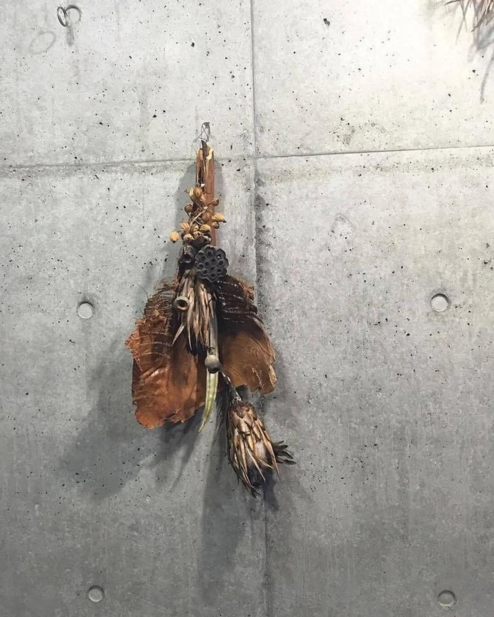 oyanagi 〰️の眉毛・アイブロウイメージ