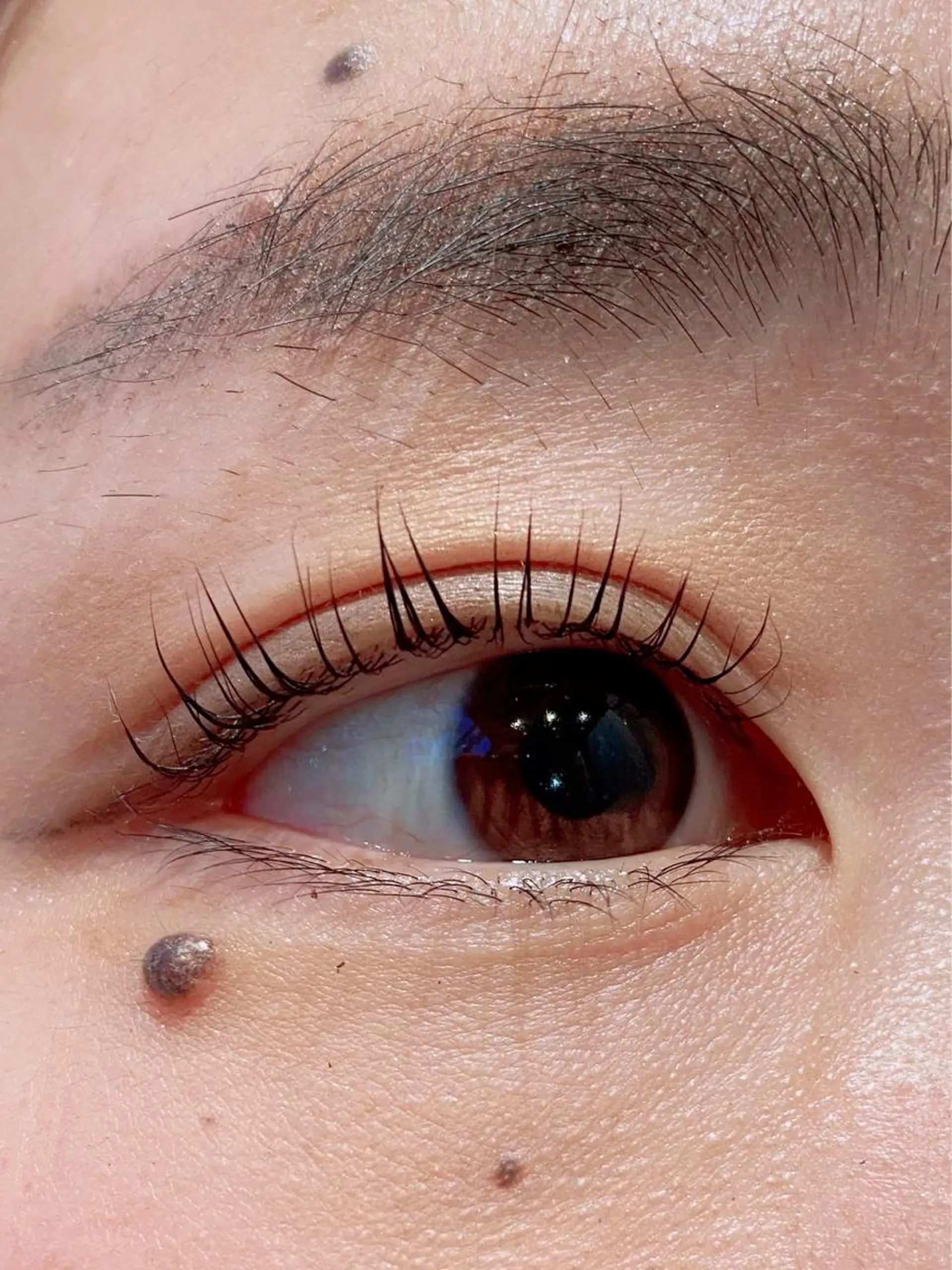 マツエク・マツパ マツパ 艶髪🌿美髪 大塚礼乃【西荻窪】のヘアスタイル